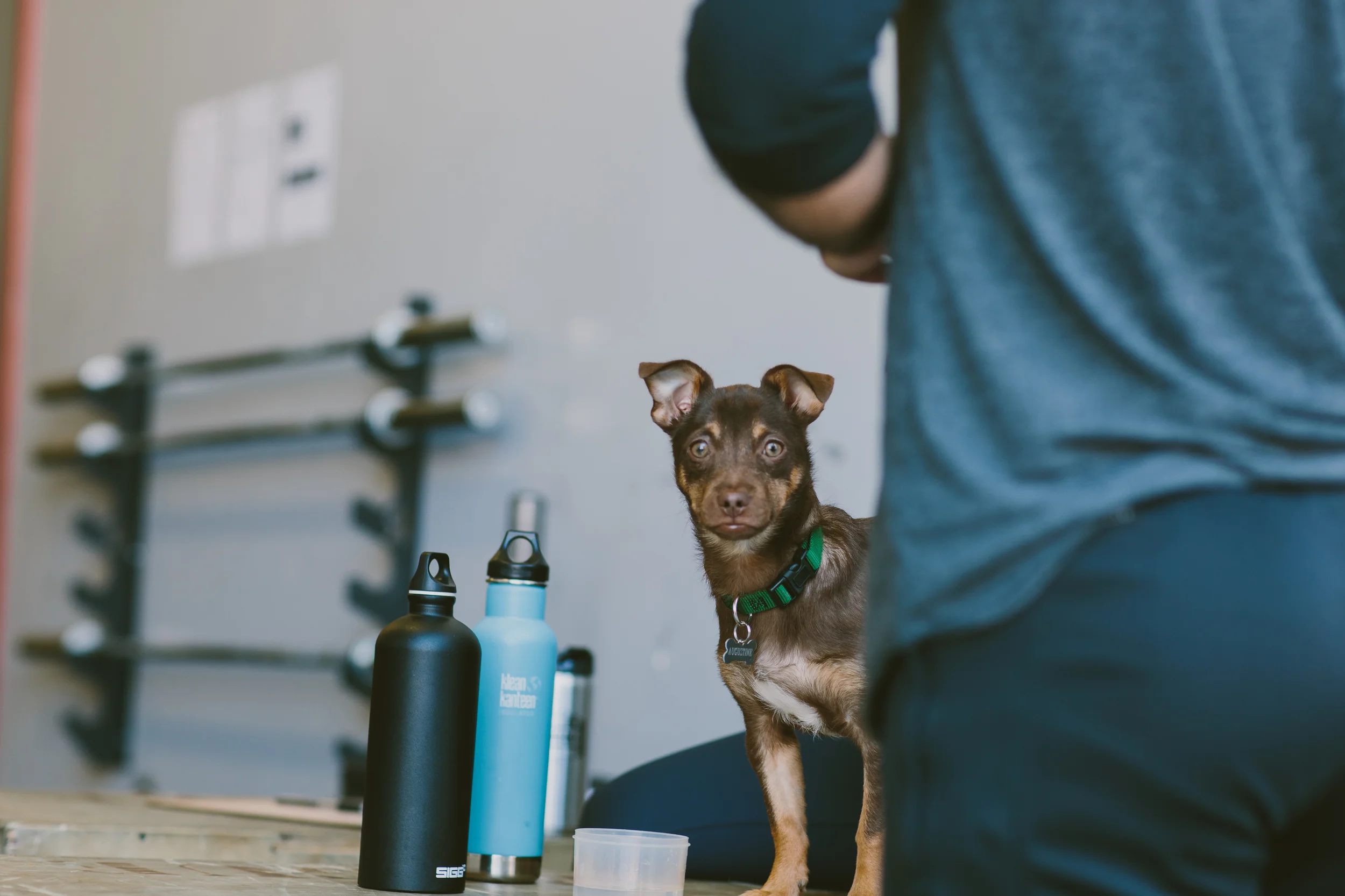 Arena Ready at The 2016 LifeWorx Throwdown