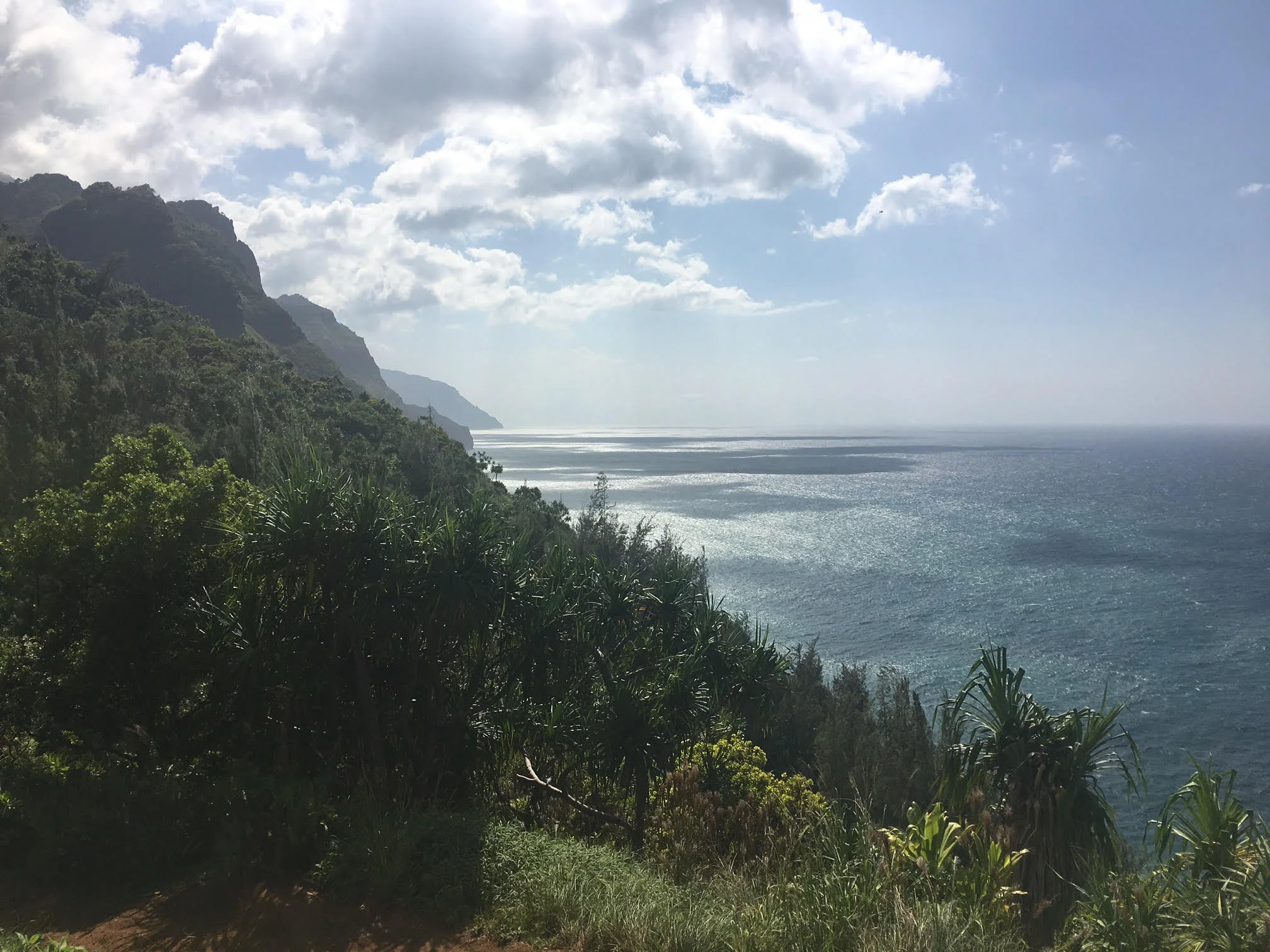Sweaty Saturday Aloha
