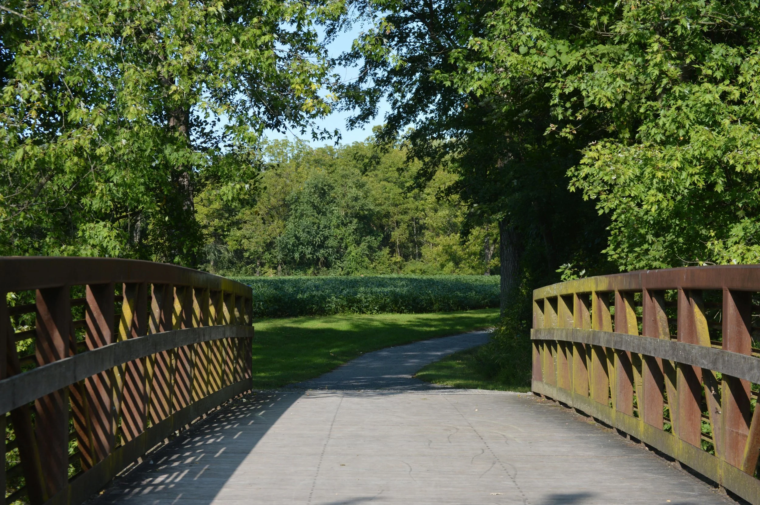 Returning to College After a Required Leave or Academic Suspension: A Strategic Path Forward for Students and Families