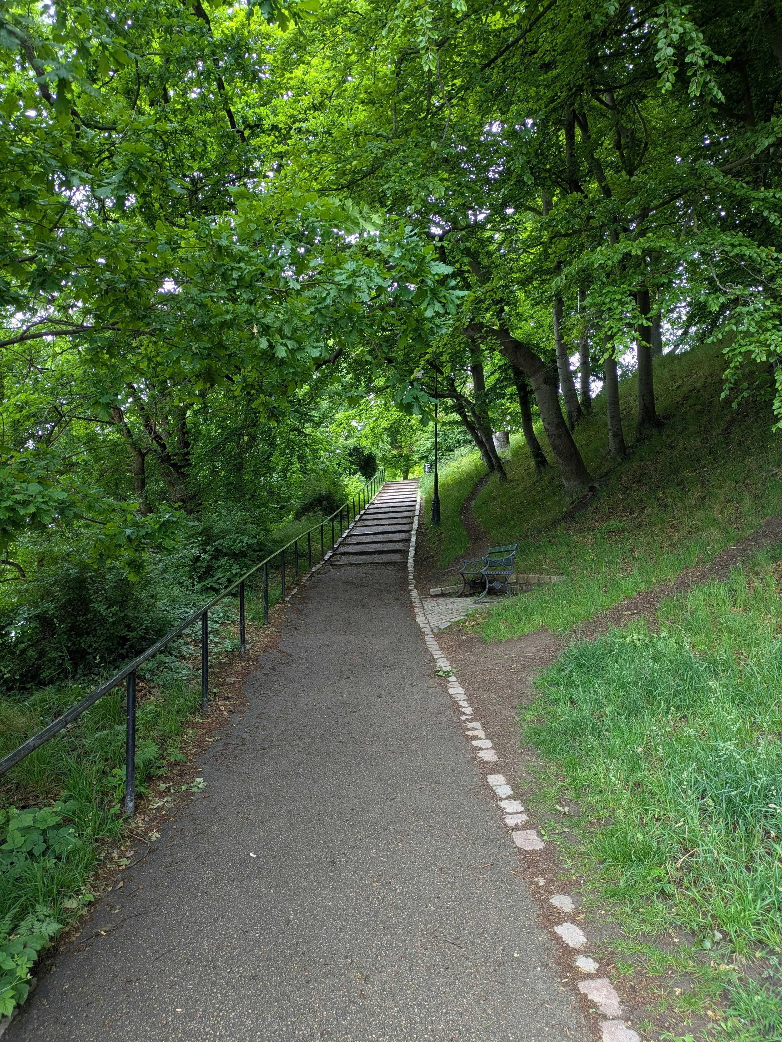 A gently curving path through trees with a bench nearby, suggesting a pause before continuing forward.