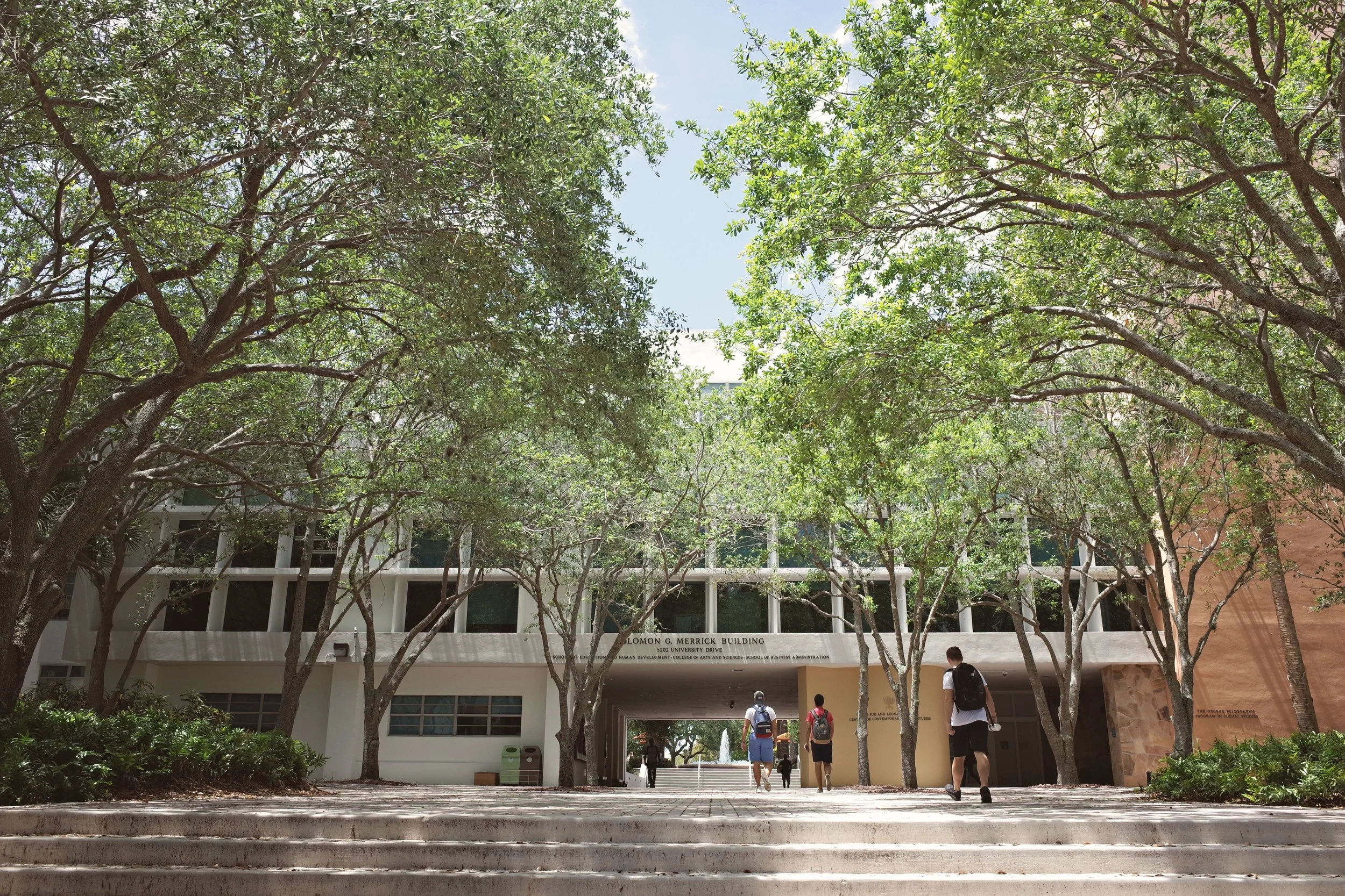Students walking through a tree-lined university campus in the United States