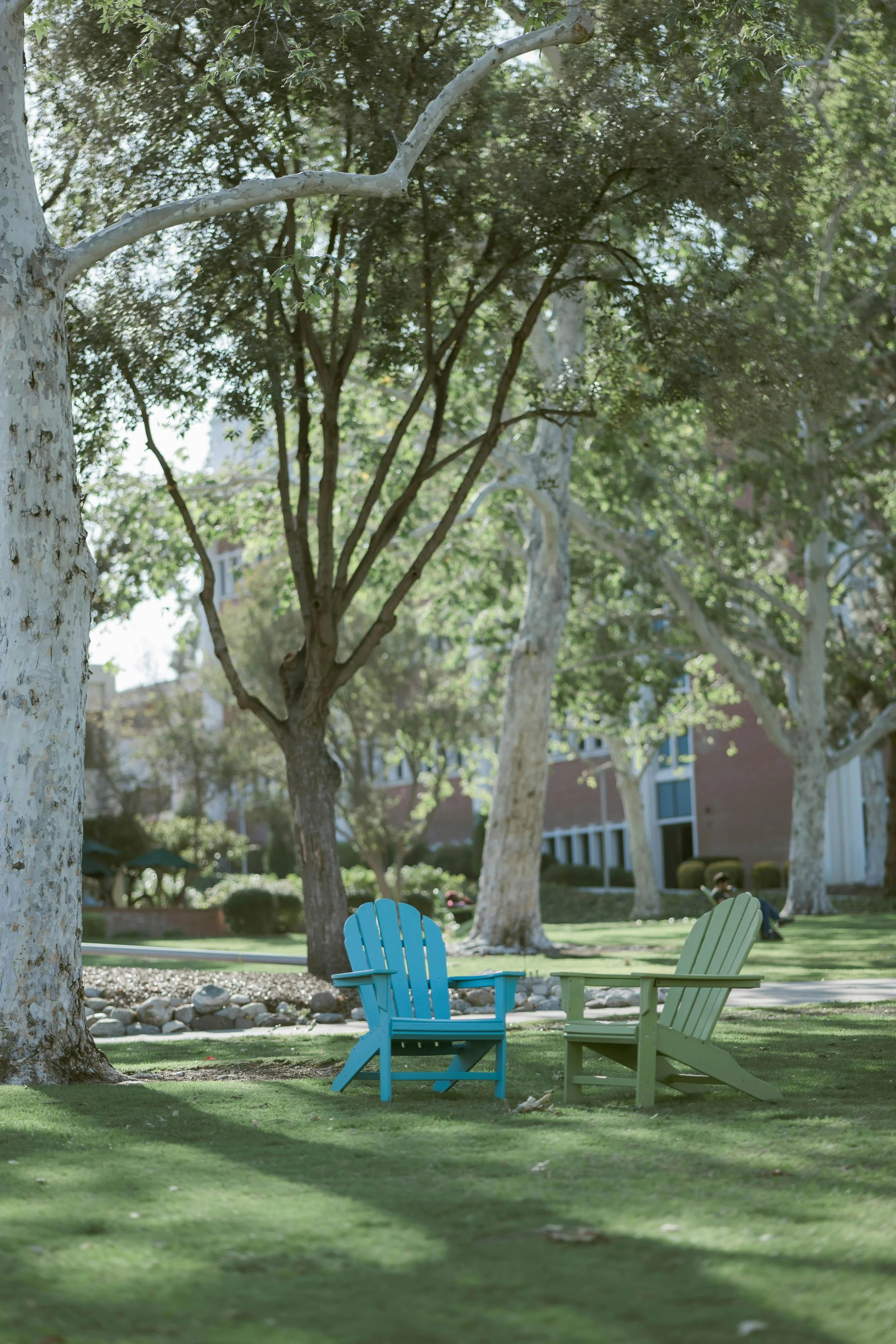 Quiet college campus lawn with chairs under trees, suggesting reflection and pause