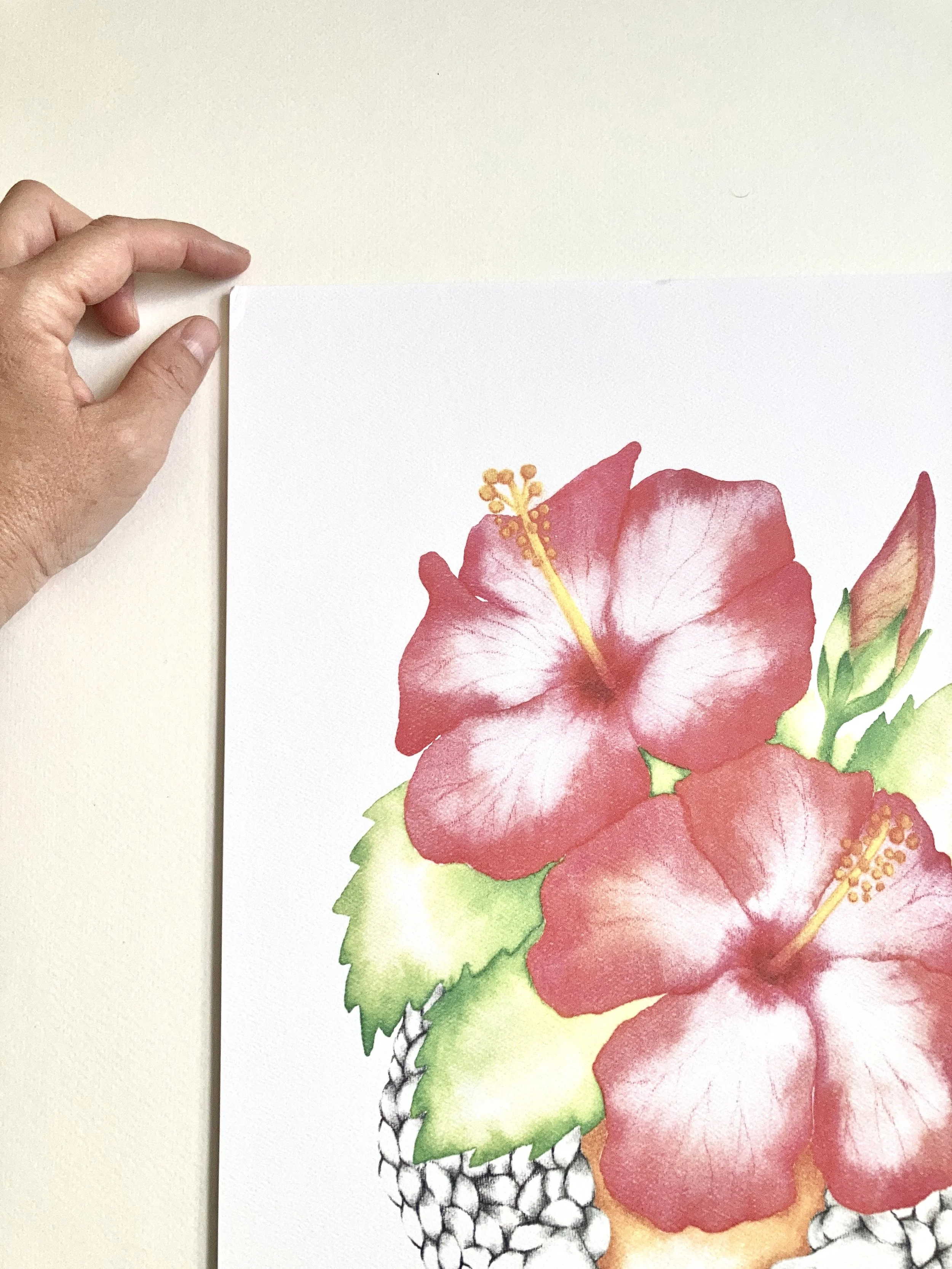 hibiscus1.jpg