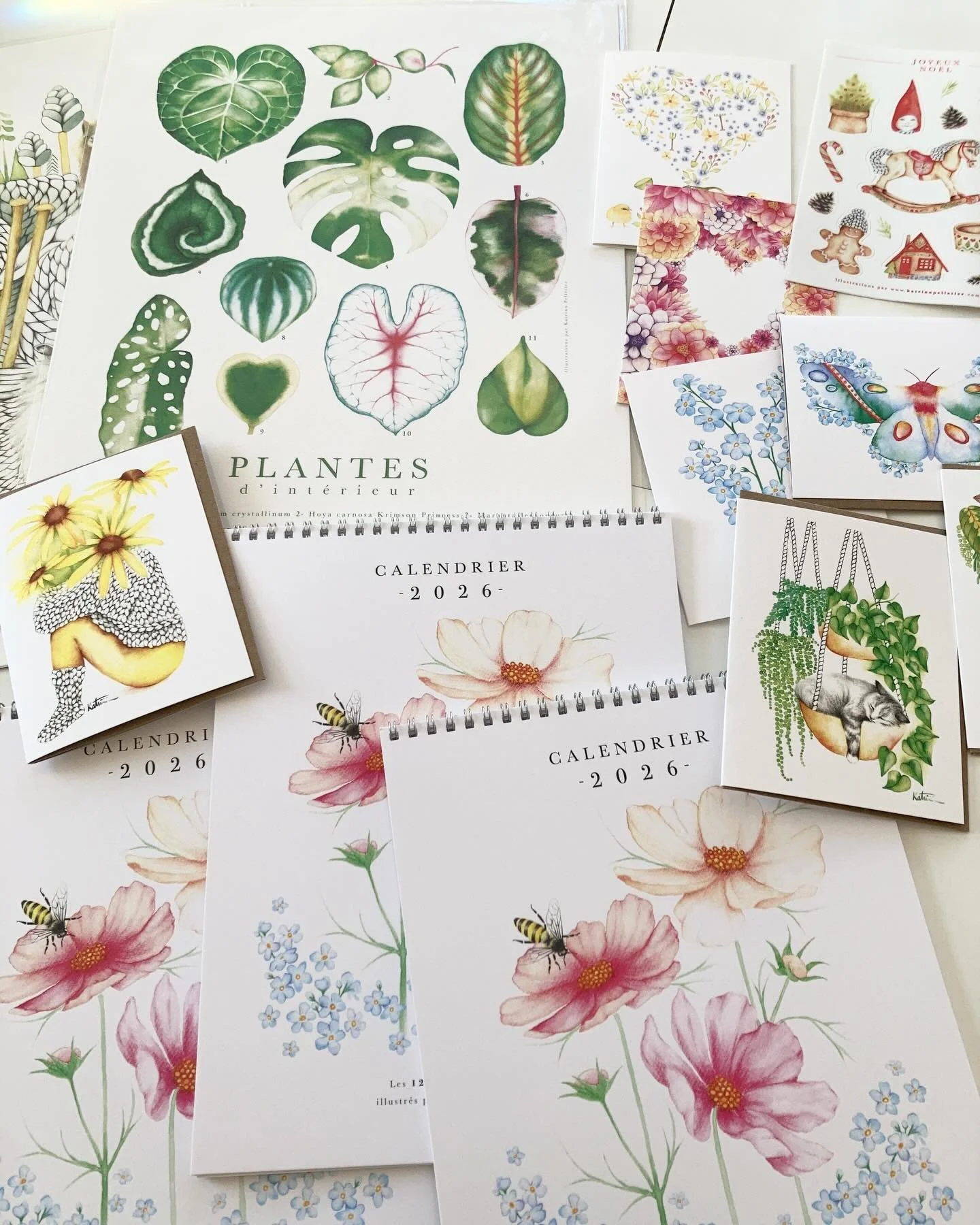 Qui dit mi-janvier dit petit m&eacute;nage de l&rsquo;atelier. 
De belles r&eacute;ductions sont actuellement en cours sur ma boutique, dont le calendrier 2026 &agrave; -50 % ! Oui oui, il me reste encore quelques exemplaires&hellip; C&rsquo;est le m