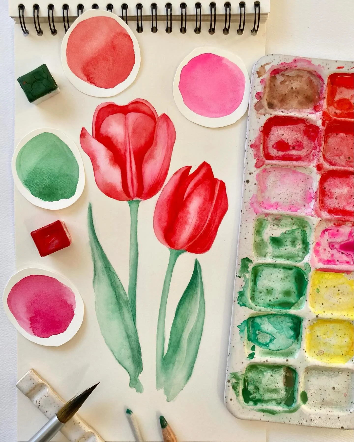 En cette journ&eacute;e d&eacute;di&eacute;e &agrave; l&rsquo;amour, je vous partage ma douce obsession de la semaine pour les tulipes. 
Cultivons la tendresse, chaque jour. 
Joyeuse Saint-Valentin &agrave; tous ! 🌷❤️
.
.
.
.
#aquarelle #tulips #val