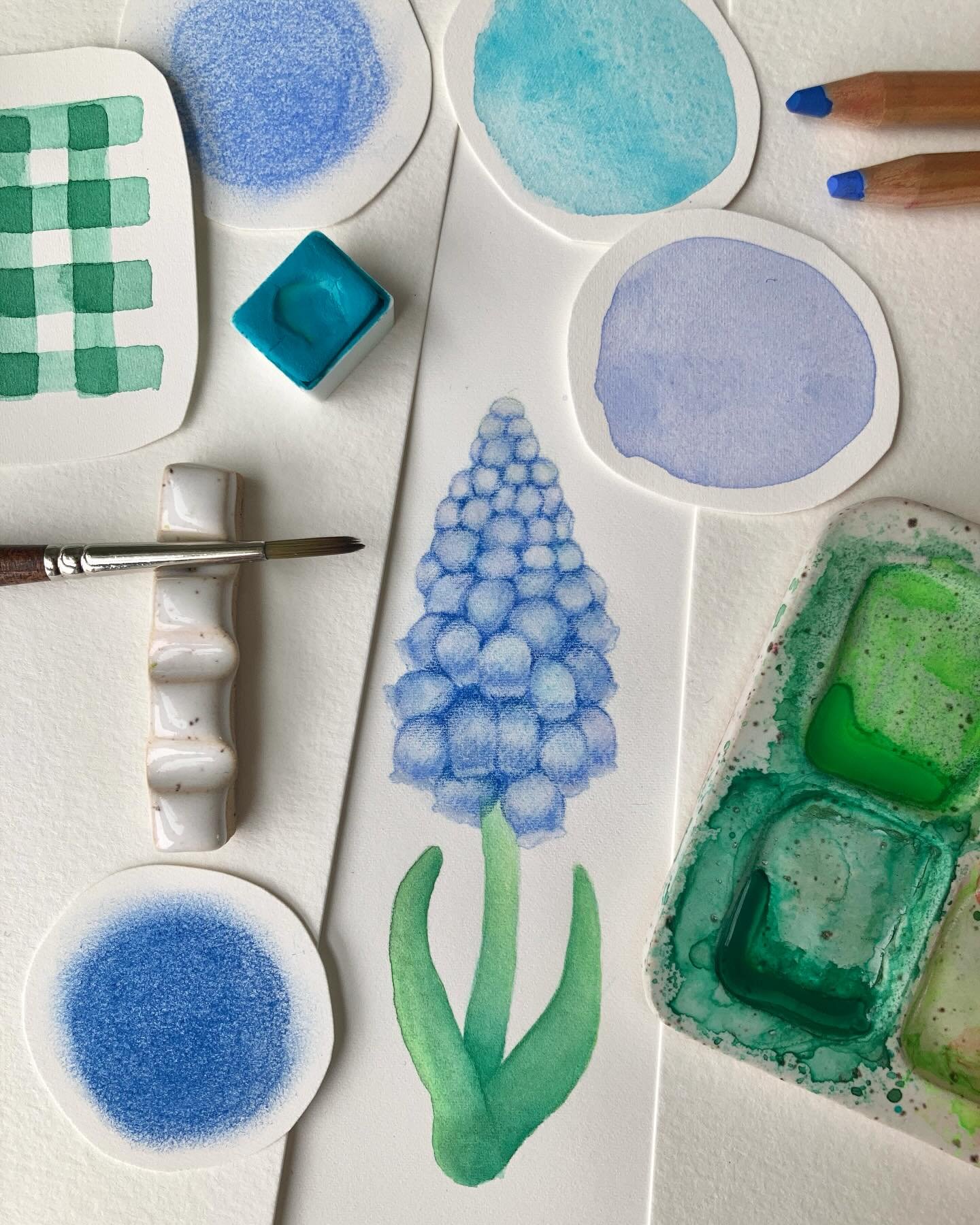 Muscari, la pionni&egrave;re.
Apr&egrave;s la neige, les petites fleurs.
As-tu aussi h&acirc;te que moi ?
.
.
.
.
.
#watercolor #muscari #artjournal #myart #floralart