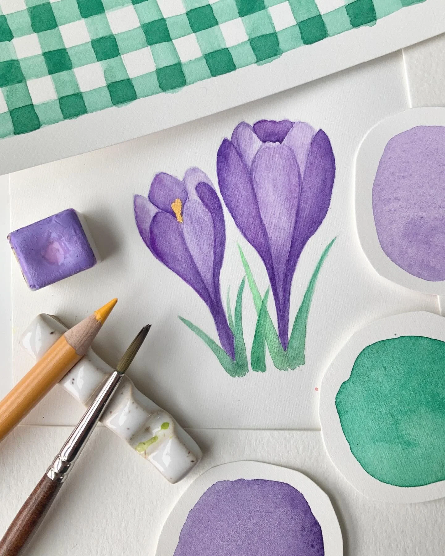 Crocus et Vichy pour appeler les beaux jours.
💜💚
.
.
.
.
.
#watercolor_daily #myart #aquarelle #crocus #springvibes