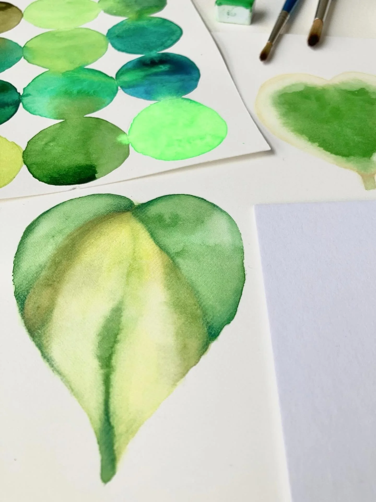 Mes ateliers d&rsquo;aquarelle de Mai &amp; Juin 🎨
Toutes les dates de mes 3 formules d&rsquo;ateliers d&rsquo;aquarelle, chez @okat_salon_de_the , sont maintenant disponibles jusqu&rsquo;&agrave; la fin du mois de juin.
&bull; Atelier aquarelle / I