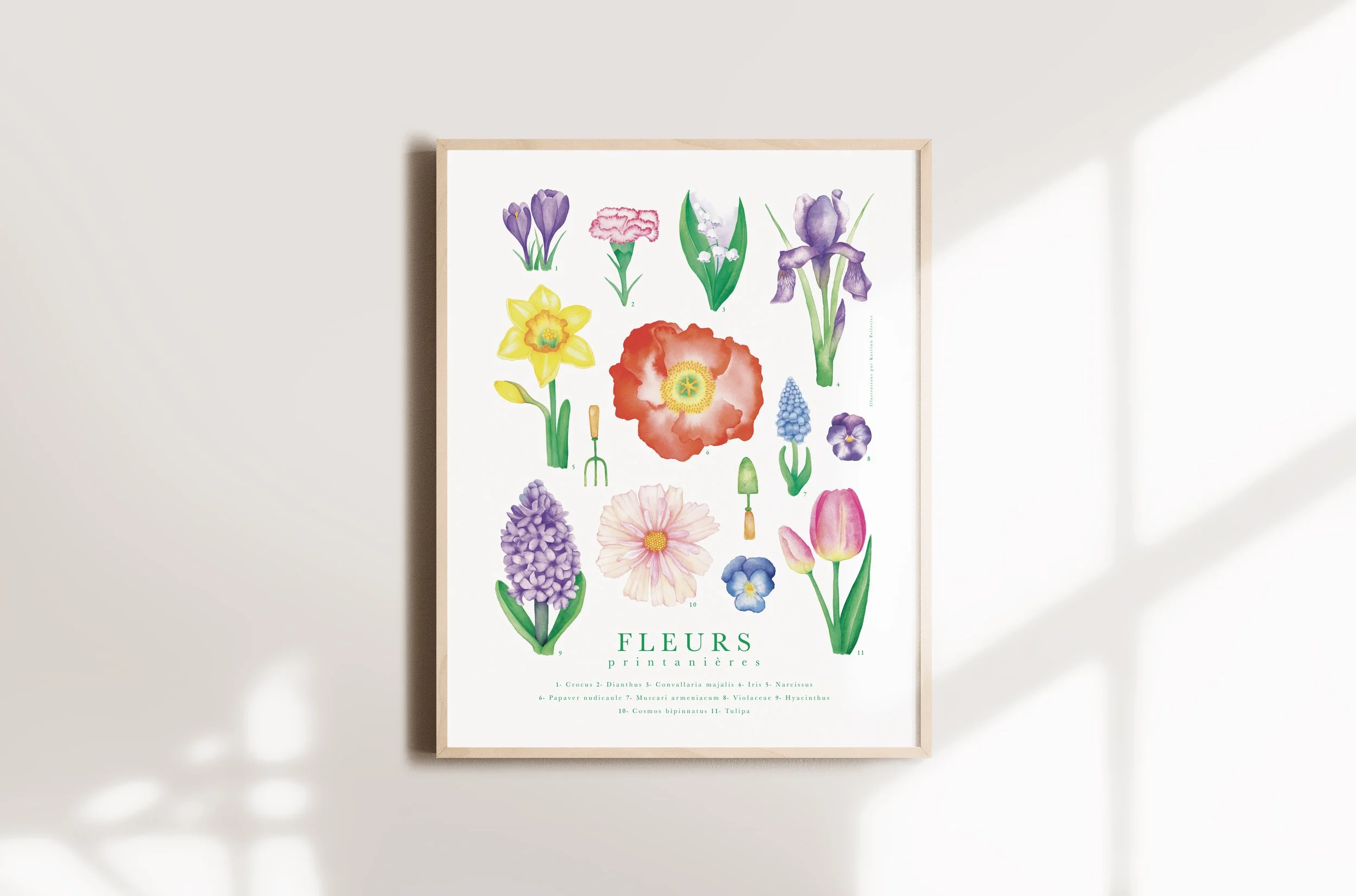 Fleurs printaniere.2.jpg