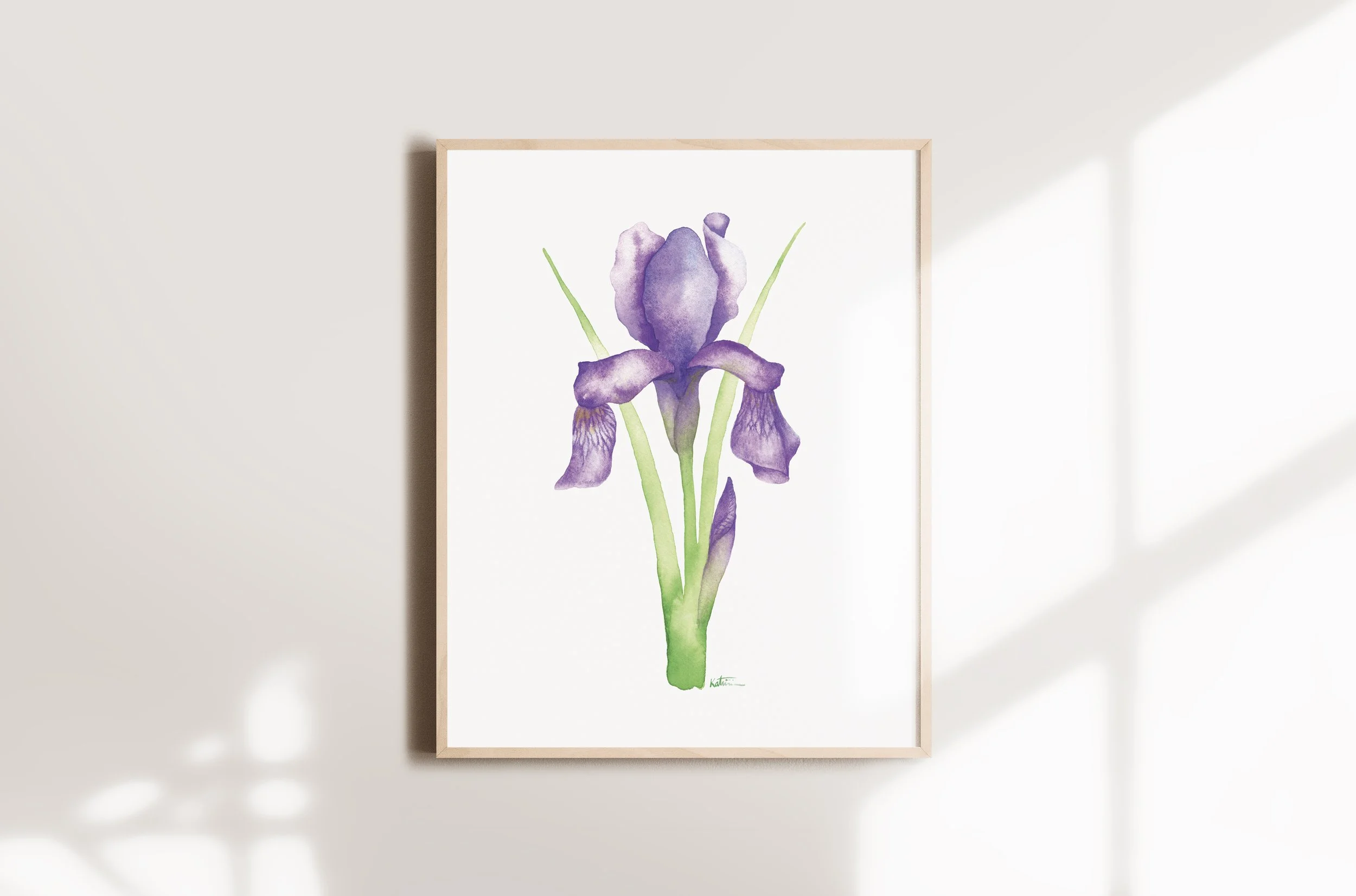 Affiche.Iris.1.jpg