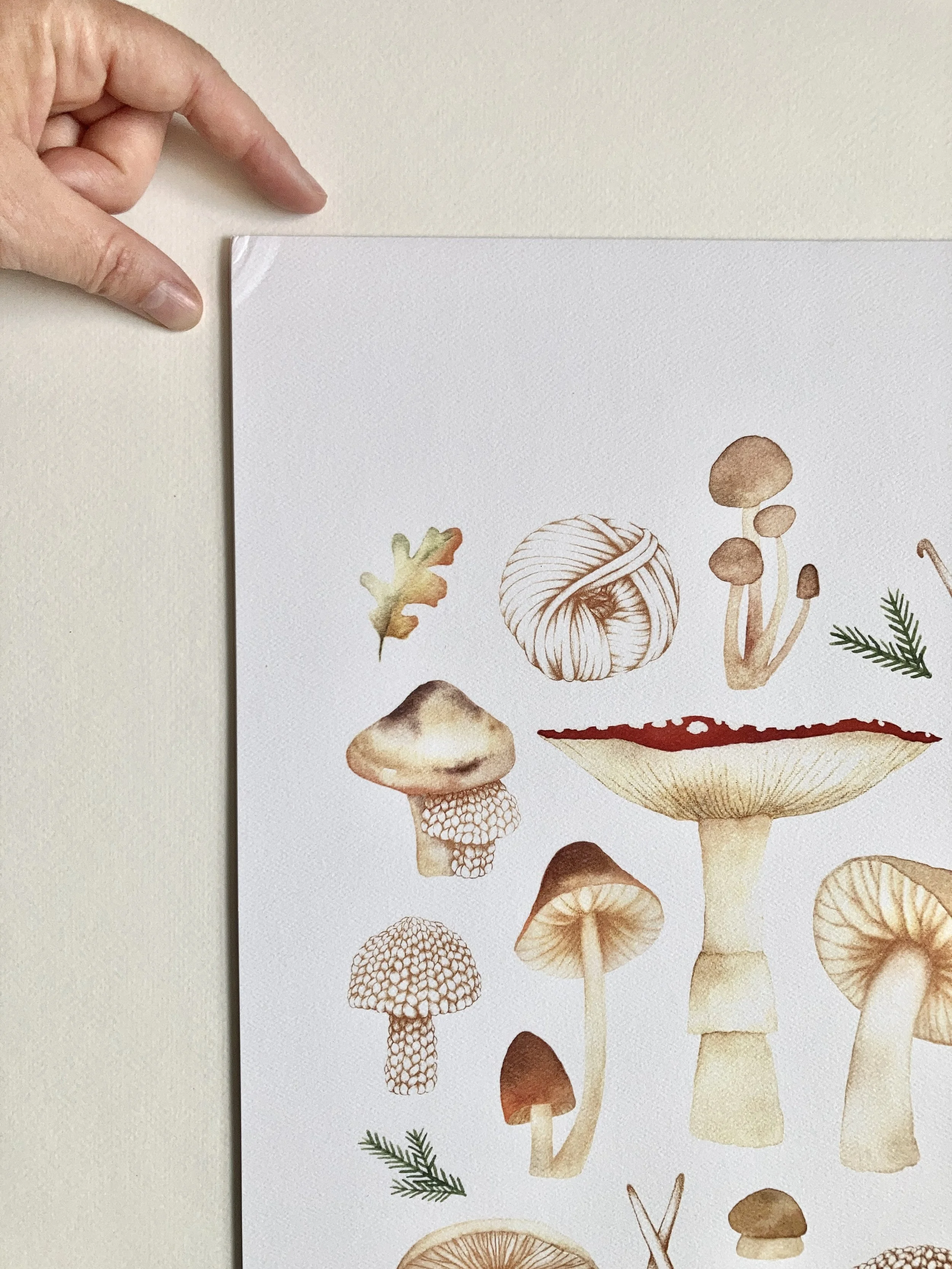 Affiche légèrement abimée, champignons réconfortants - LIQUIDATION 60%