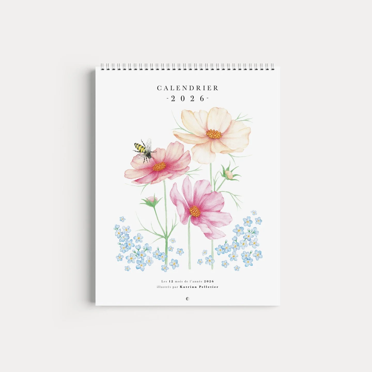 Calendrier illustré 2026