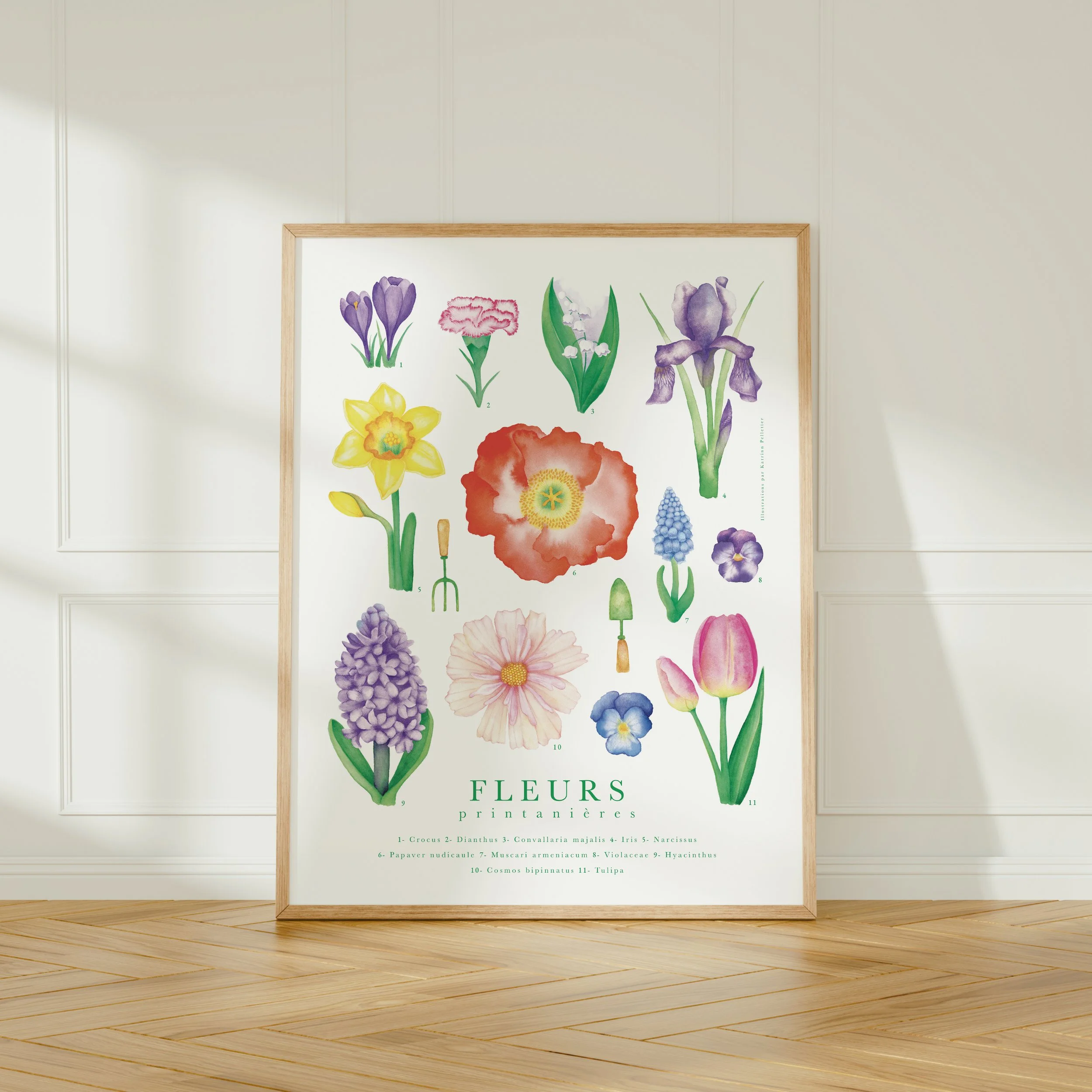 Affiche botanique fleurs printanières