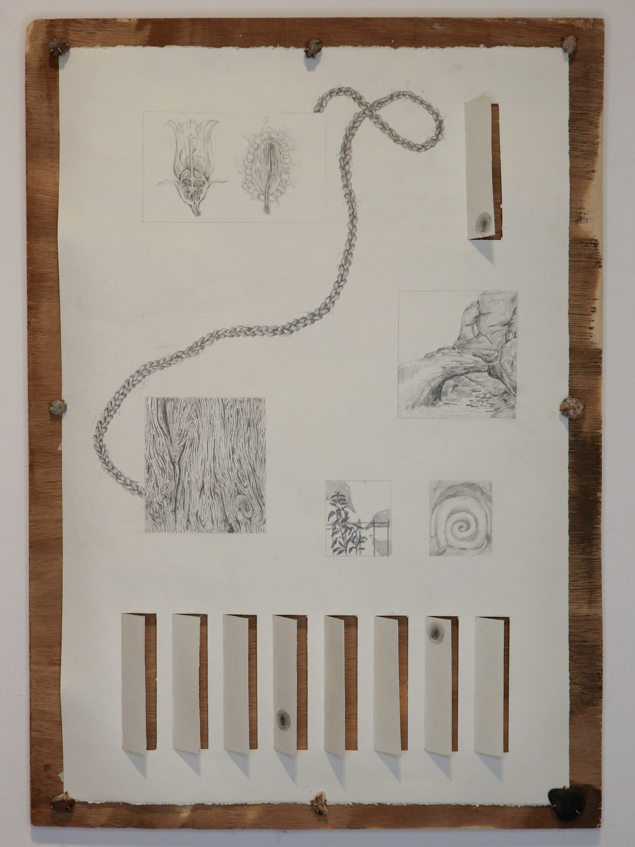 Back to and Away From, 2024
Paper, graphite, wood, brass, shell, stone