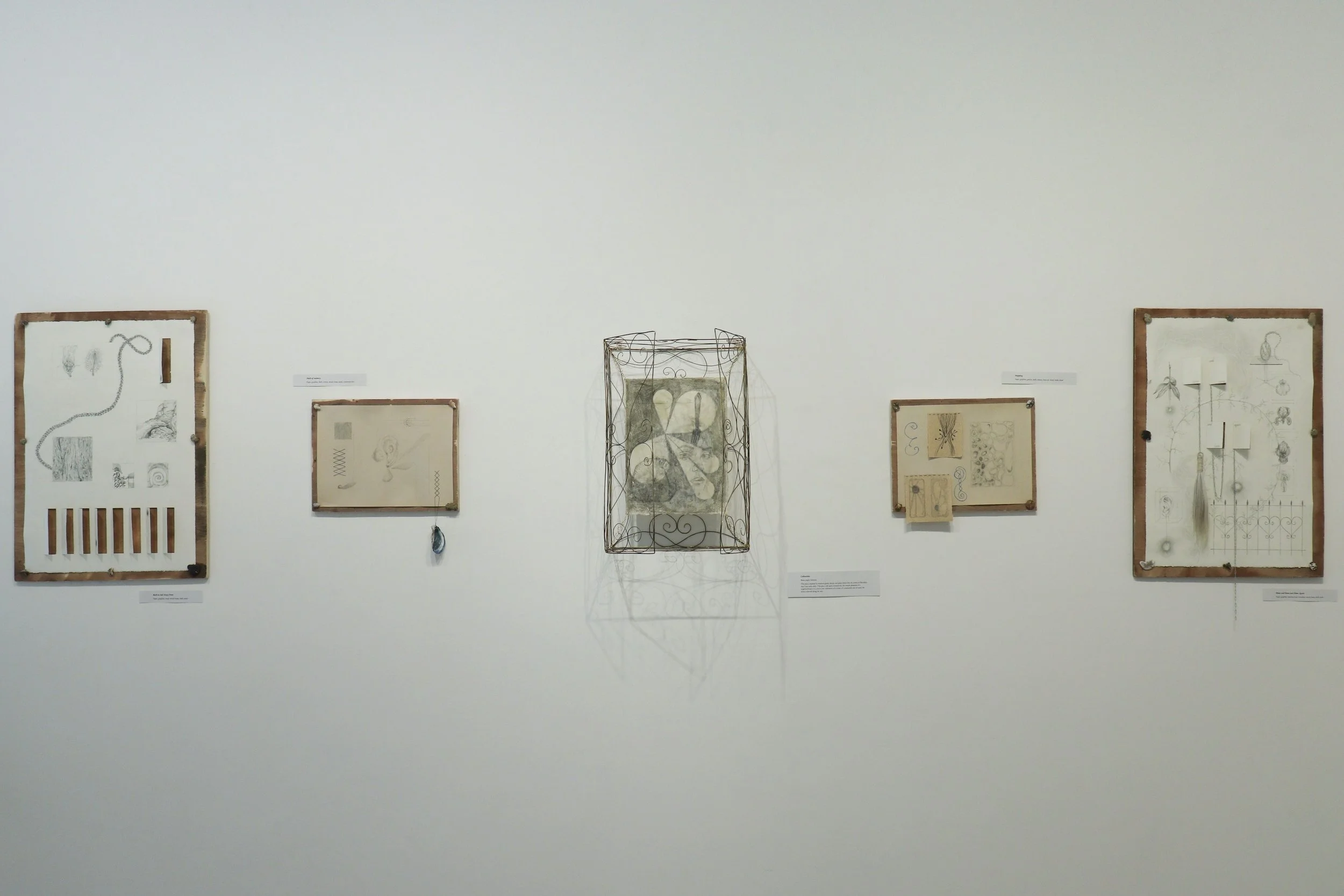 Gallery view from Split and Return