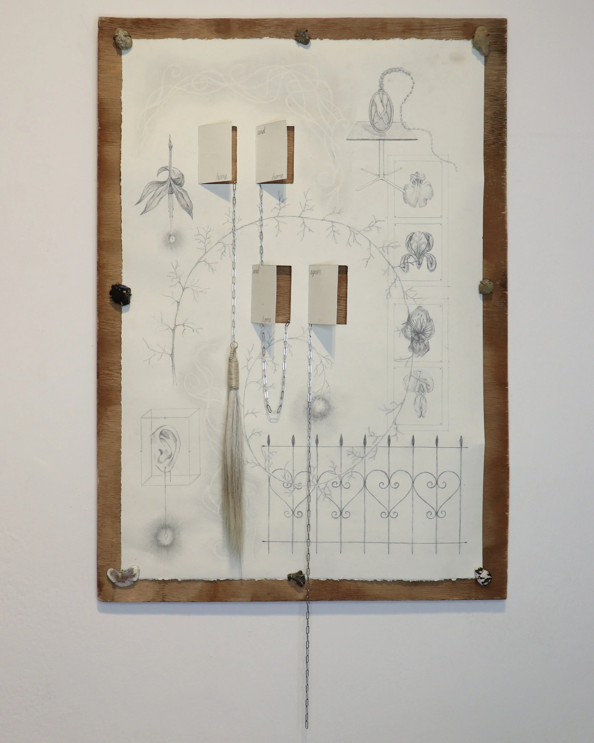 Home and Home and Home Again, 2024
Paper, graphite, stainless steel, horsehair, wood, brass, shell, stone
