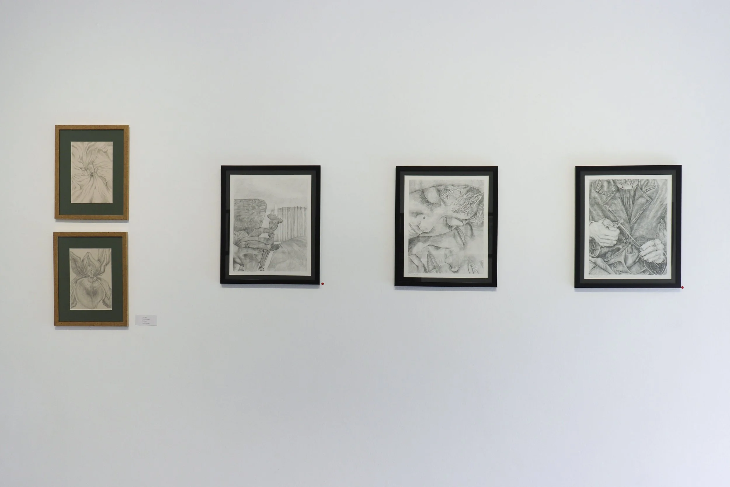 Gallery view from Split and Return