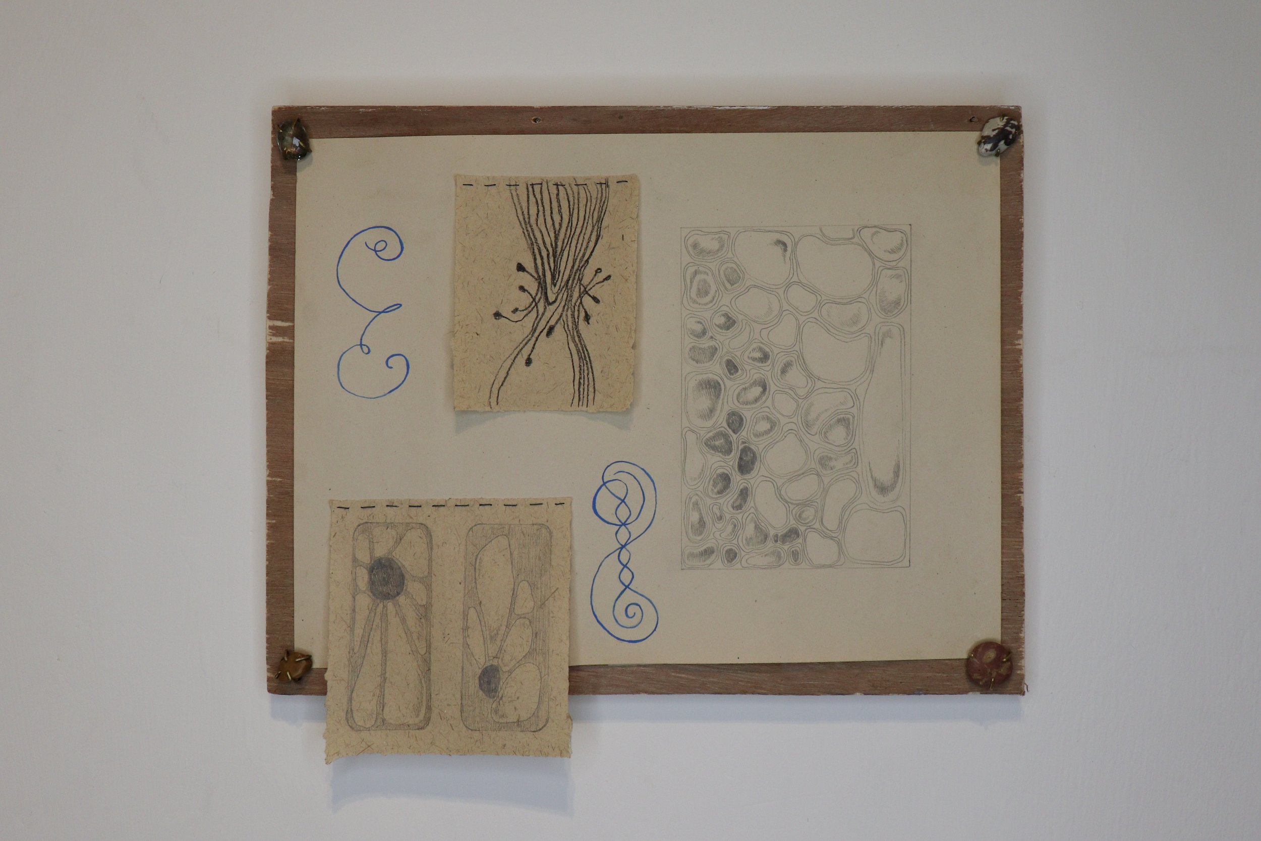 Mapping, 2024
Paper, graphite, gauche, shell, cotton, charcoal, wood, brass, stone
