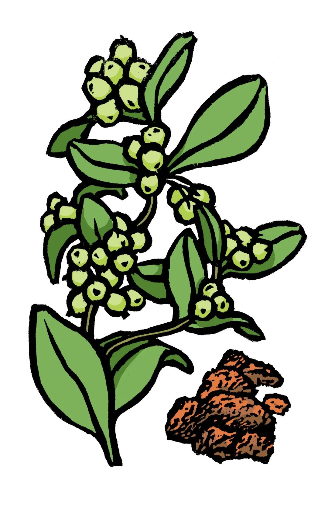 08_a_bdellium (Large).jpg