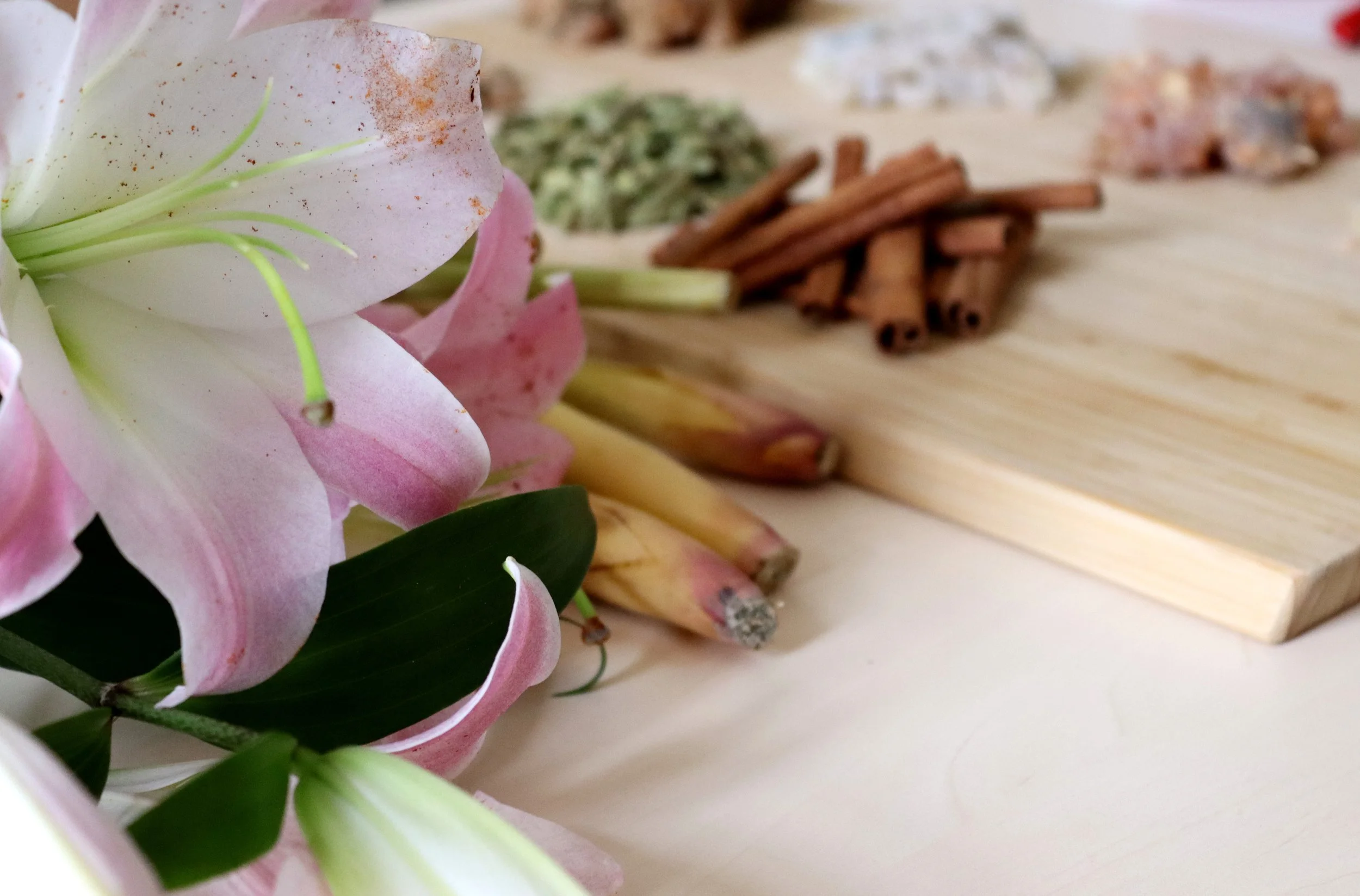 Public Lecture: Past Scent's of the Perfumer's Garden (Sean Coughlin)
