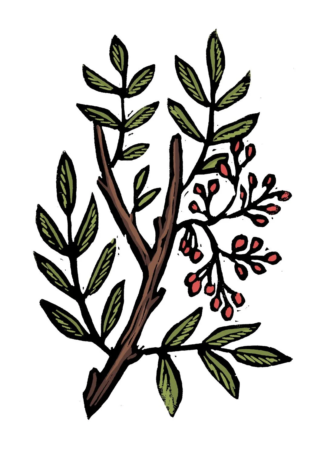 11_a_terebinth resin (Large).jpg