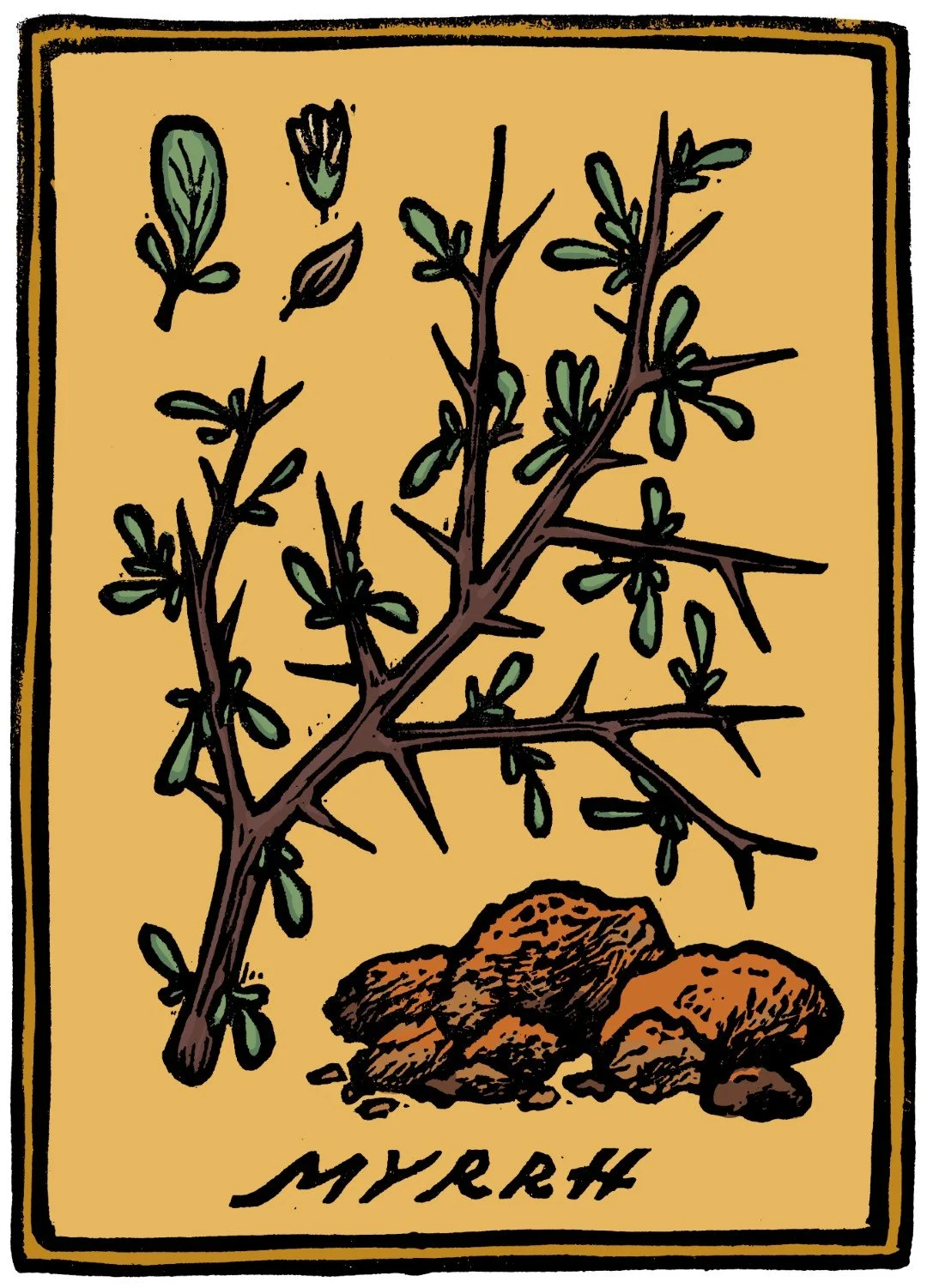 08_b_myrrh (Large).jpg