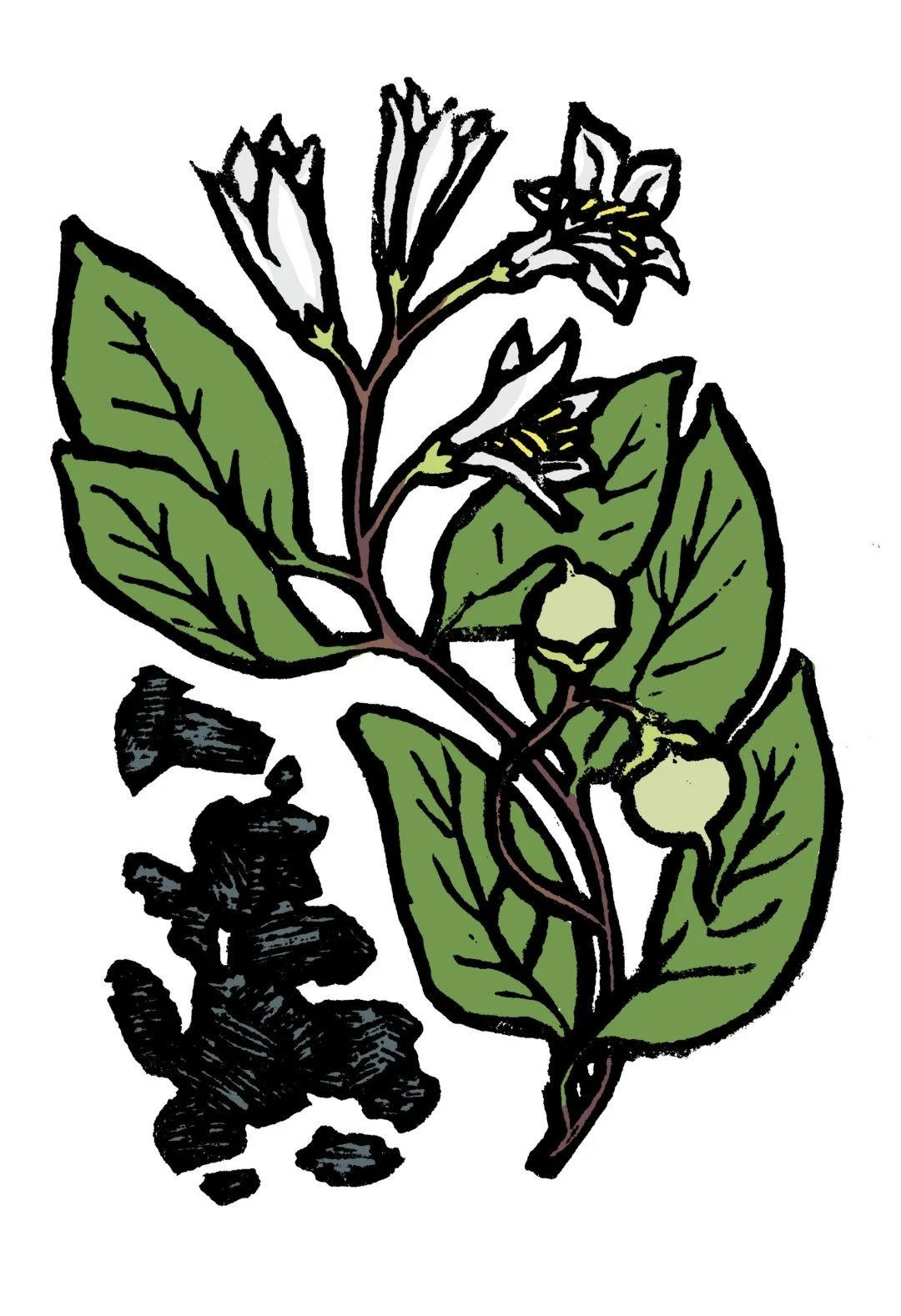 09_a_styrax (Large).jpg