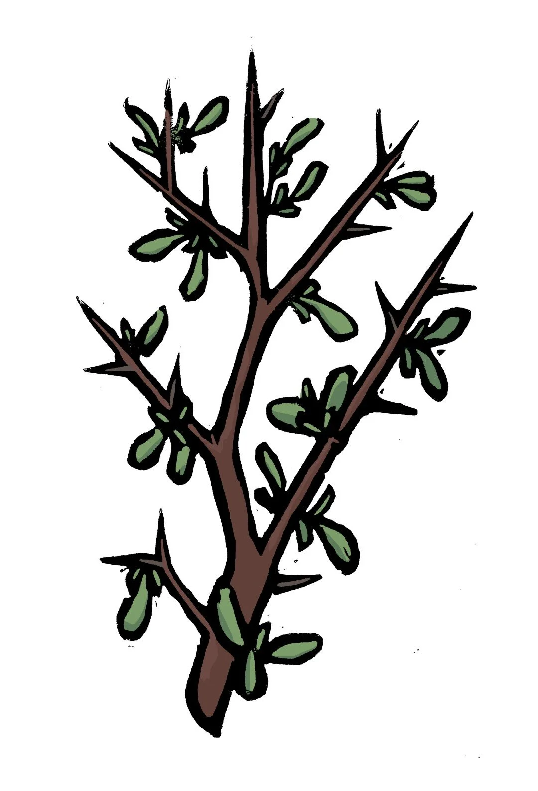 08_a_myrrh (Large).jpg