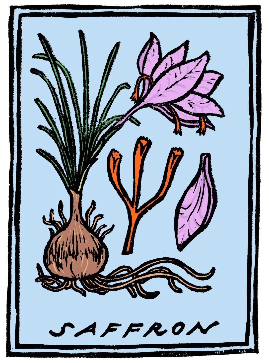 06_b_saffron (Large).jpg
