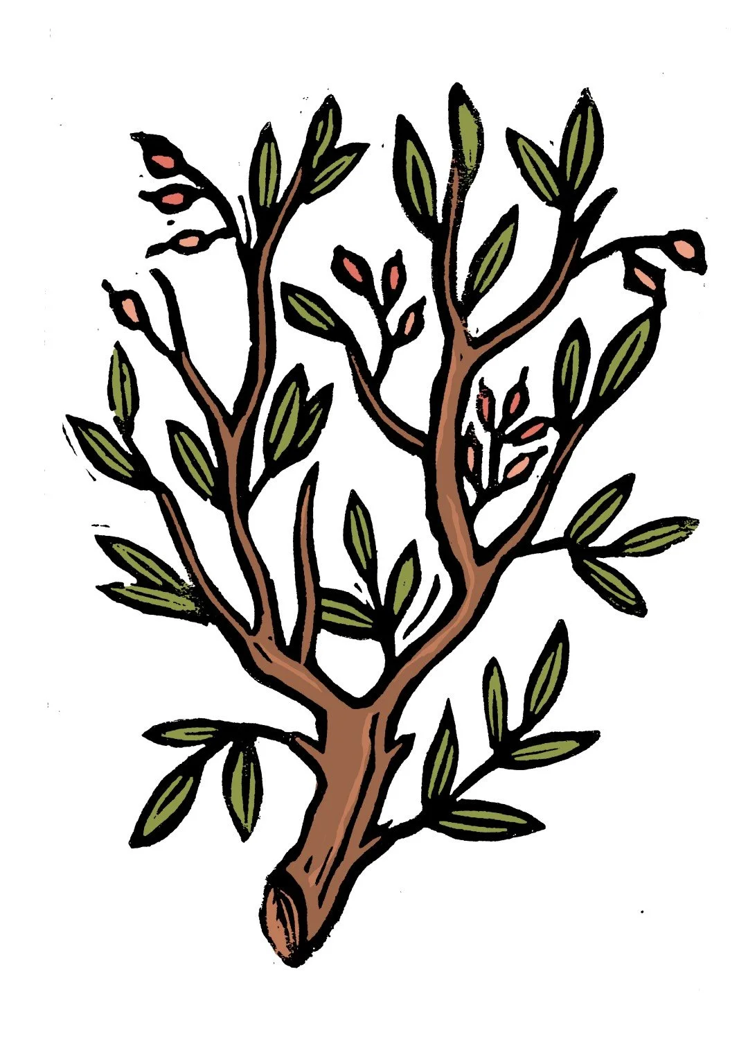 09_a_balsam seed (Large).jpg