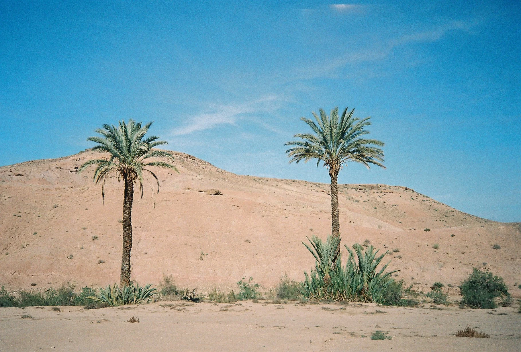 The space between us 