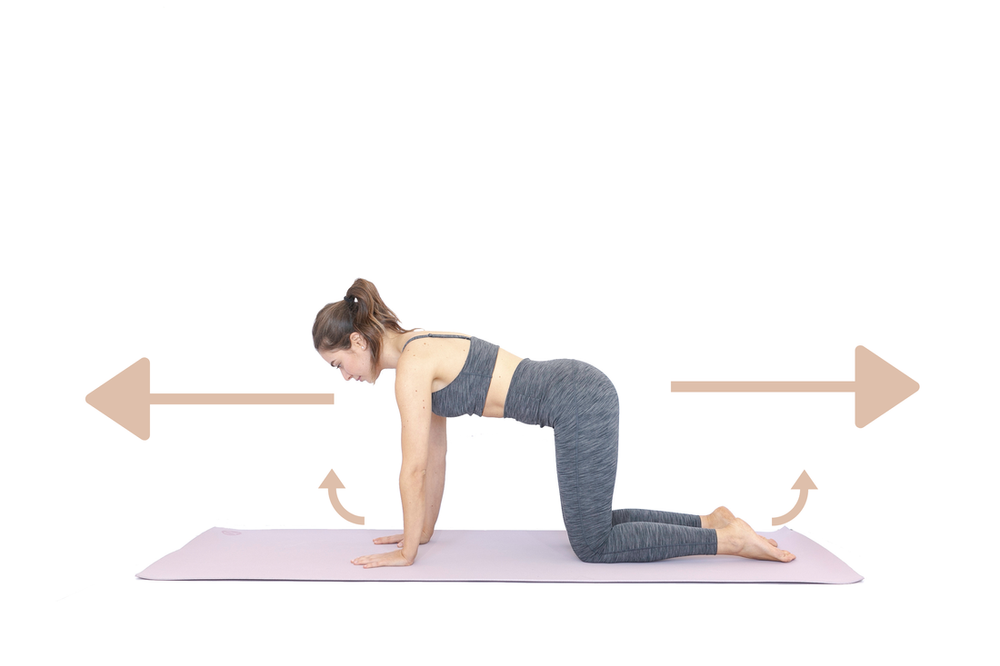 core-exercises-tabletop1_orig.png