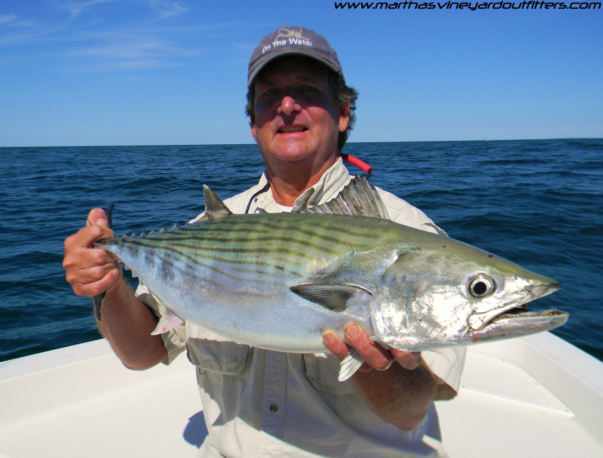 Welcome to Saltwaterguides - Find a fishing guide. Saltwaterguides is your  number one resource for Fishing on Cape Cod. Find out about Stripers,  striped bass, Bluefish, Bonito, False Albacore and more