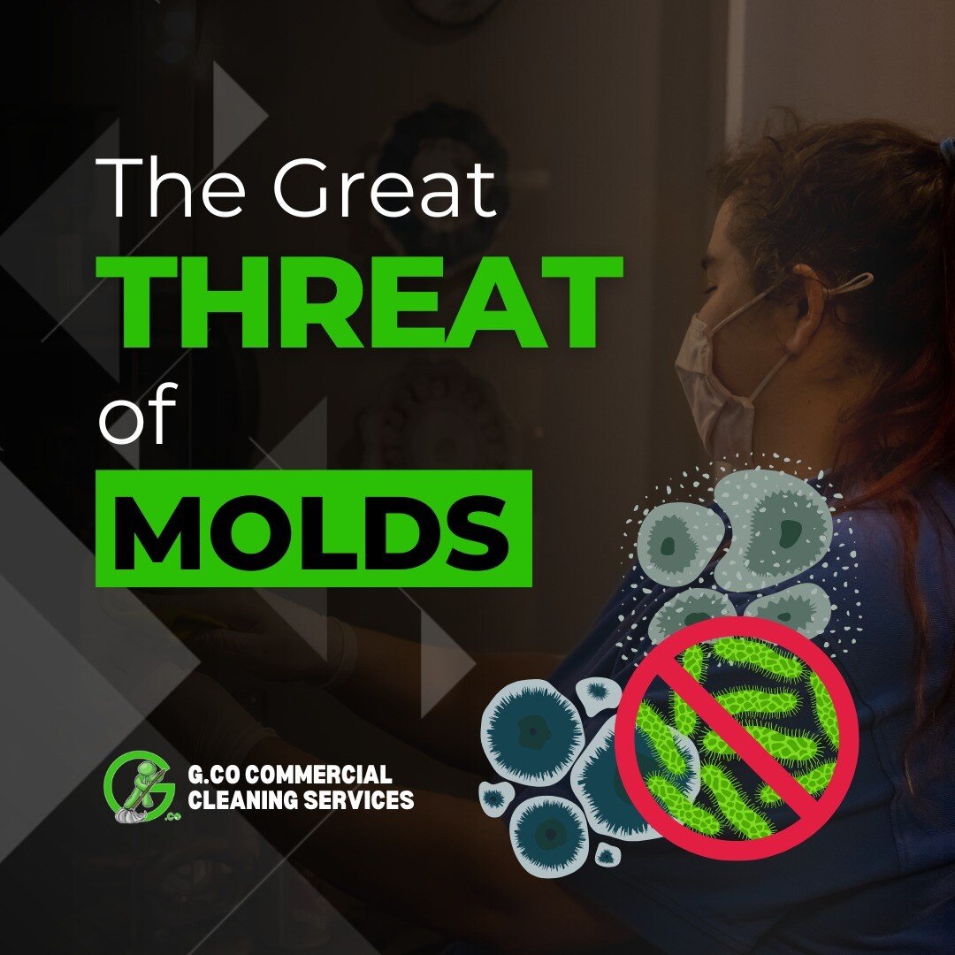 Mold is a problem that plagues both houses and buildings. Mold will develop in damp areas, such as around roofs, windows, pipe leaks, or in areas that have recently flooded. Paper, cardboard, ceiling tiles, and wood goods all support the growth of mo