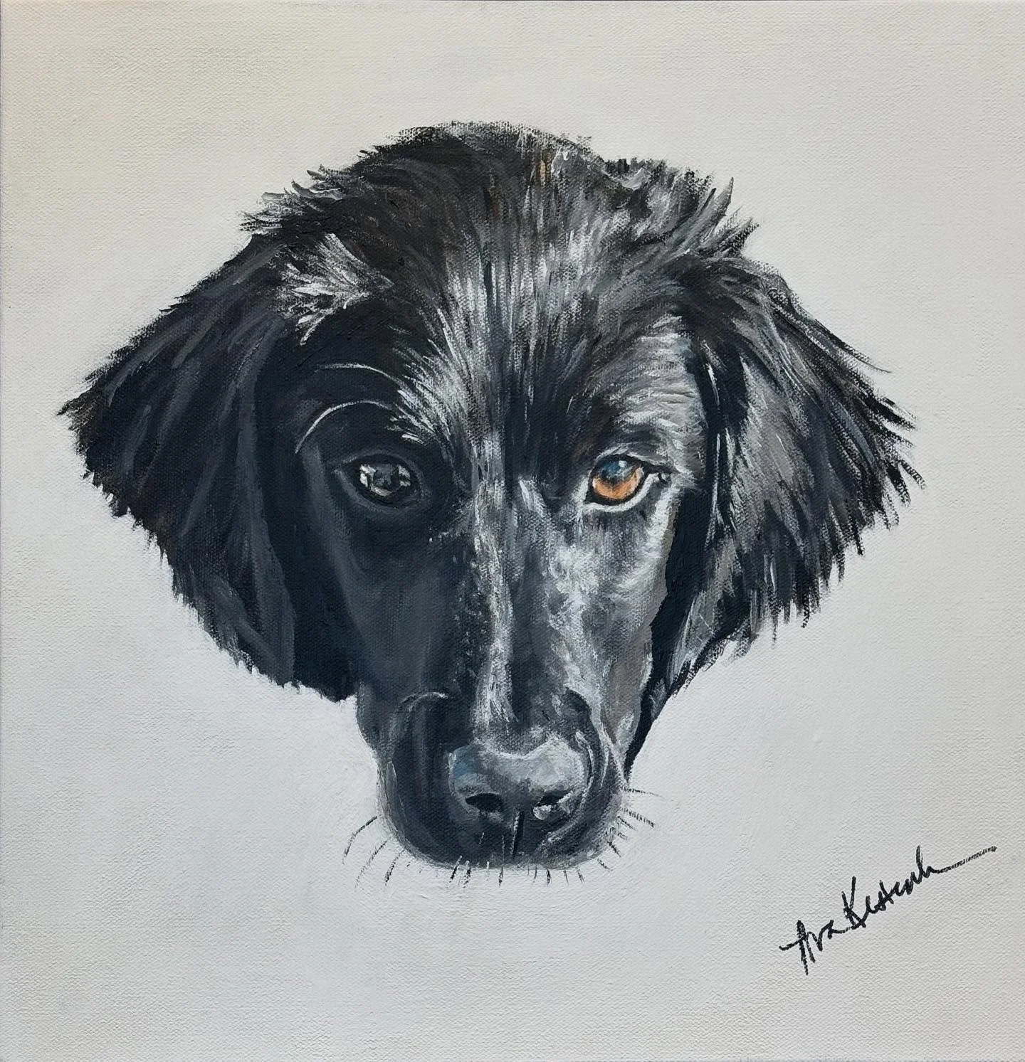 Meet Nessie, an adored one and a half year old black lab.  She is firecely independent - a complicated combination of polar opposites.  Nessie keeps her humans on their toes&hellip;greeting them with boundless energy and love one minute and giving th
