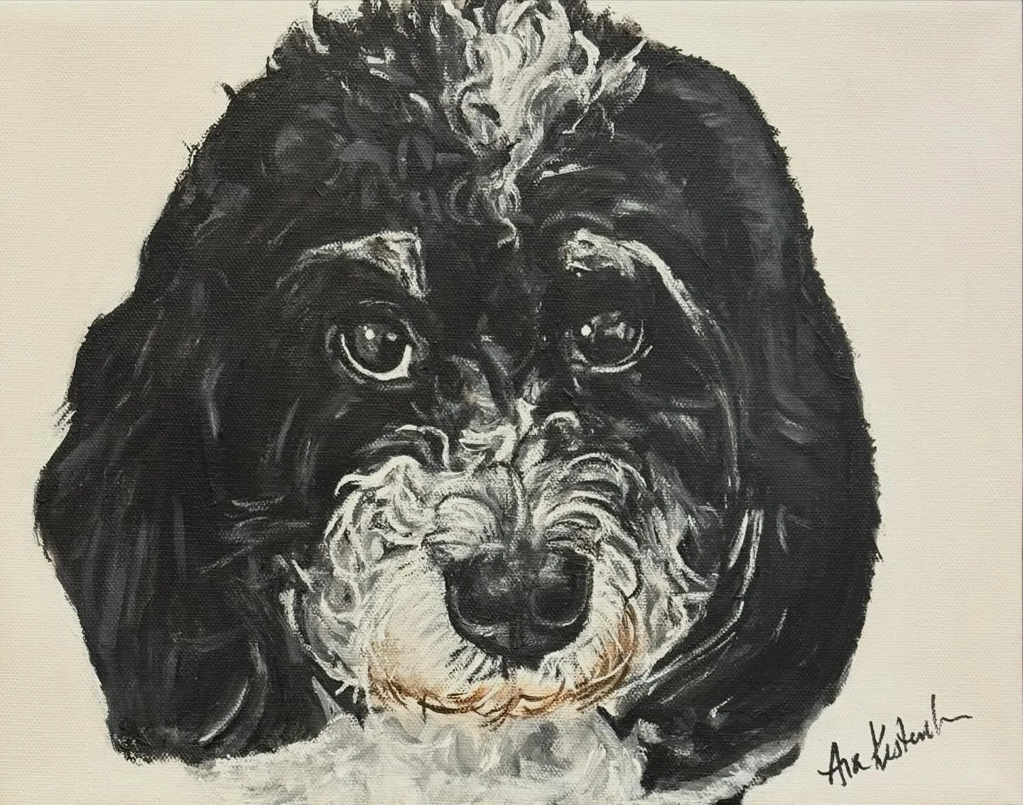 Say hello to Rufus, a three and a half year old mini Bernadoodle.  He is a sweet, playful, affectionate boy, who is very loved by his humans.
Swipe left to see the photo inspiring this 11 x 14 acrylic commission.