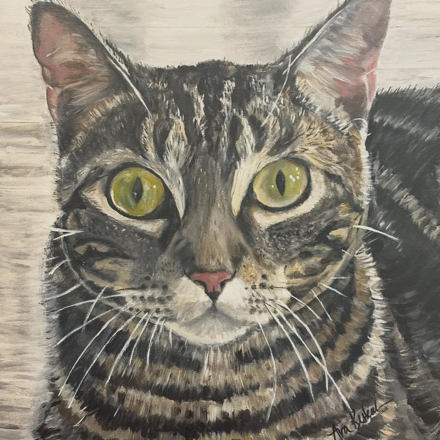 Try not to fall in love when you look at this handsome face!! His name is Theo, a one year old rescue.  This adorable boy is funny, curious and very affectionate!! He loves to cuddle with with his humans and the feelings are very mutual!!
Swipe left 