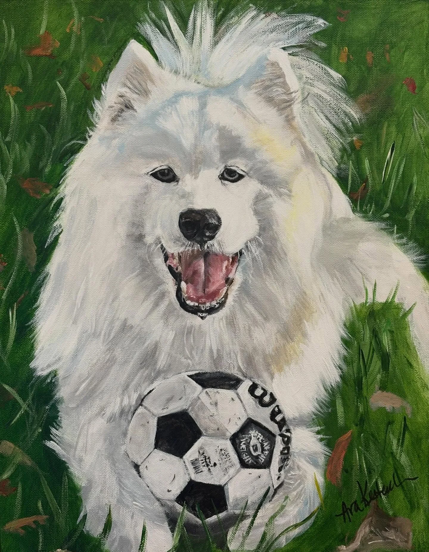 Say hello to Casper, an extraordinary 4 year old Samoyed who has captured the hearts of his humans and is arguably, the favorite child! He loves to be chased and play fetch with his soccer balls, as he drops them at the bottom of a hill directing his