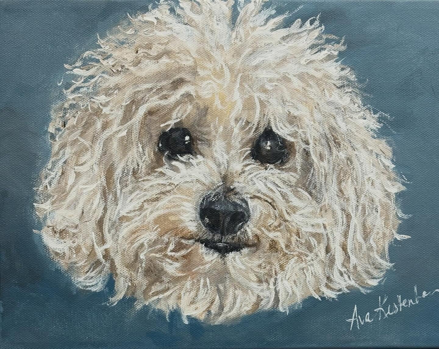 Meet magnetic Misty, a thirteen year old Golden doodle.  She was adopted when she was five, living her first five years in the suburbs as a calm , loyal companion to an older woman.  When the woman passed, she relocated to  a new loving family, and t