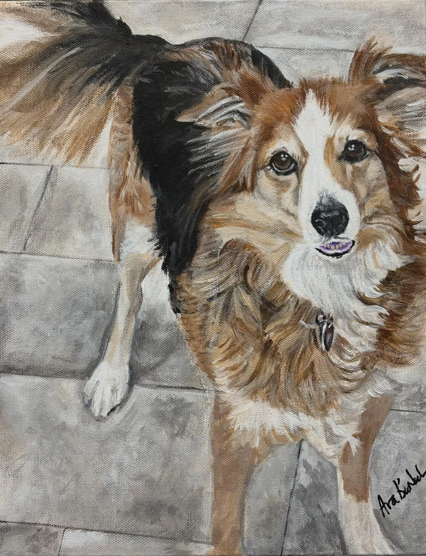 Say hello to stunning Stella! She is a sweet, playful almost 11 year old English Shepherd, who was adopted when she was 1 1/2.  She is attached to her human mom and loves to shadow her when cooking.. patiently waiting for a flying peel or crumb to fa