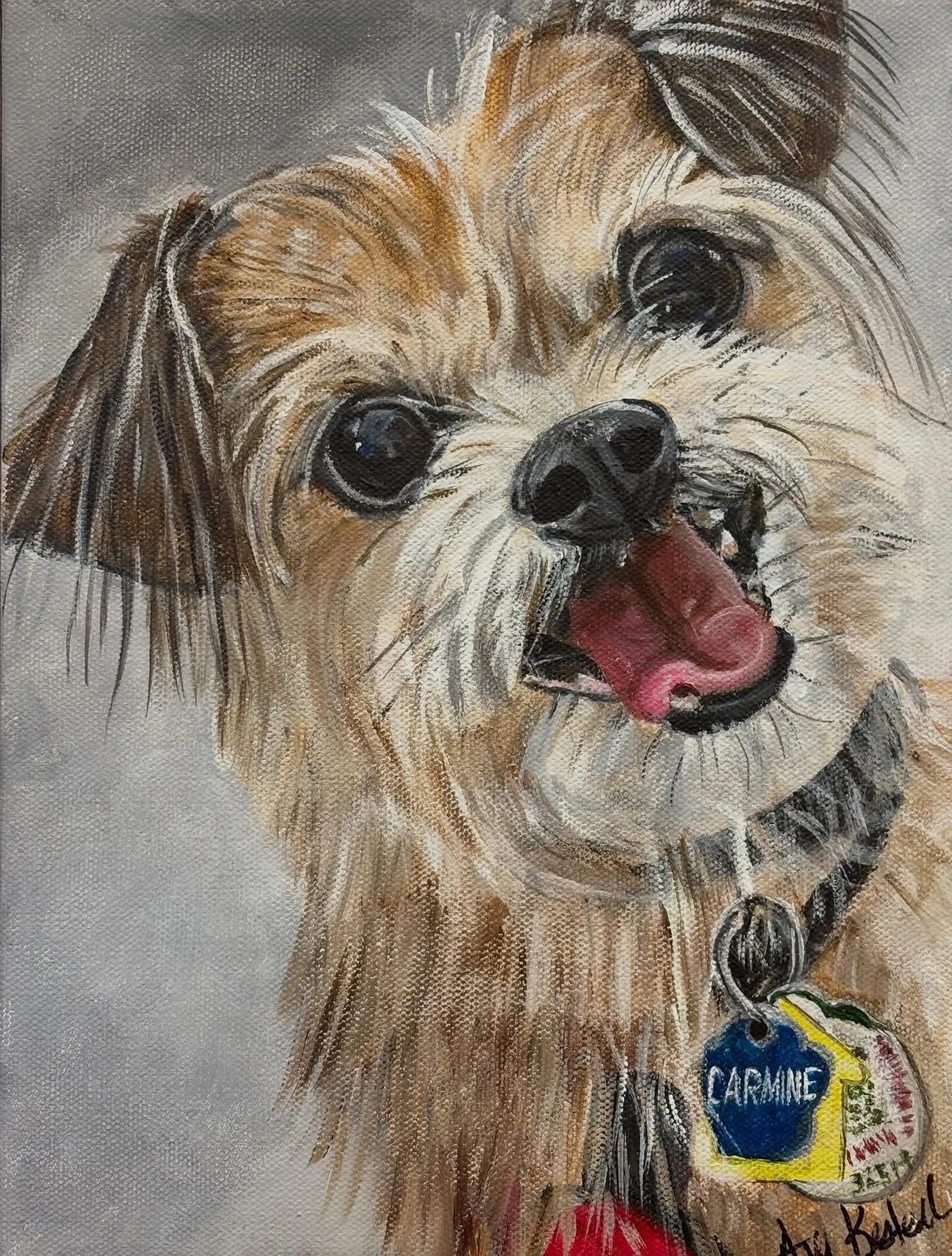 Meet captivating Carmine, a Chihuahua and Shih Tzu mix, rescued at about three years old from the highest kill shelter in Miami.  He and his human mom bonded instantly and were soon inseparable soul mates.  For over eleven years he was a supportive t