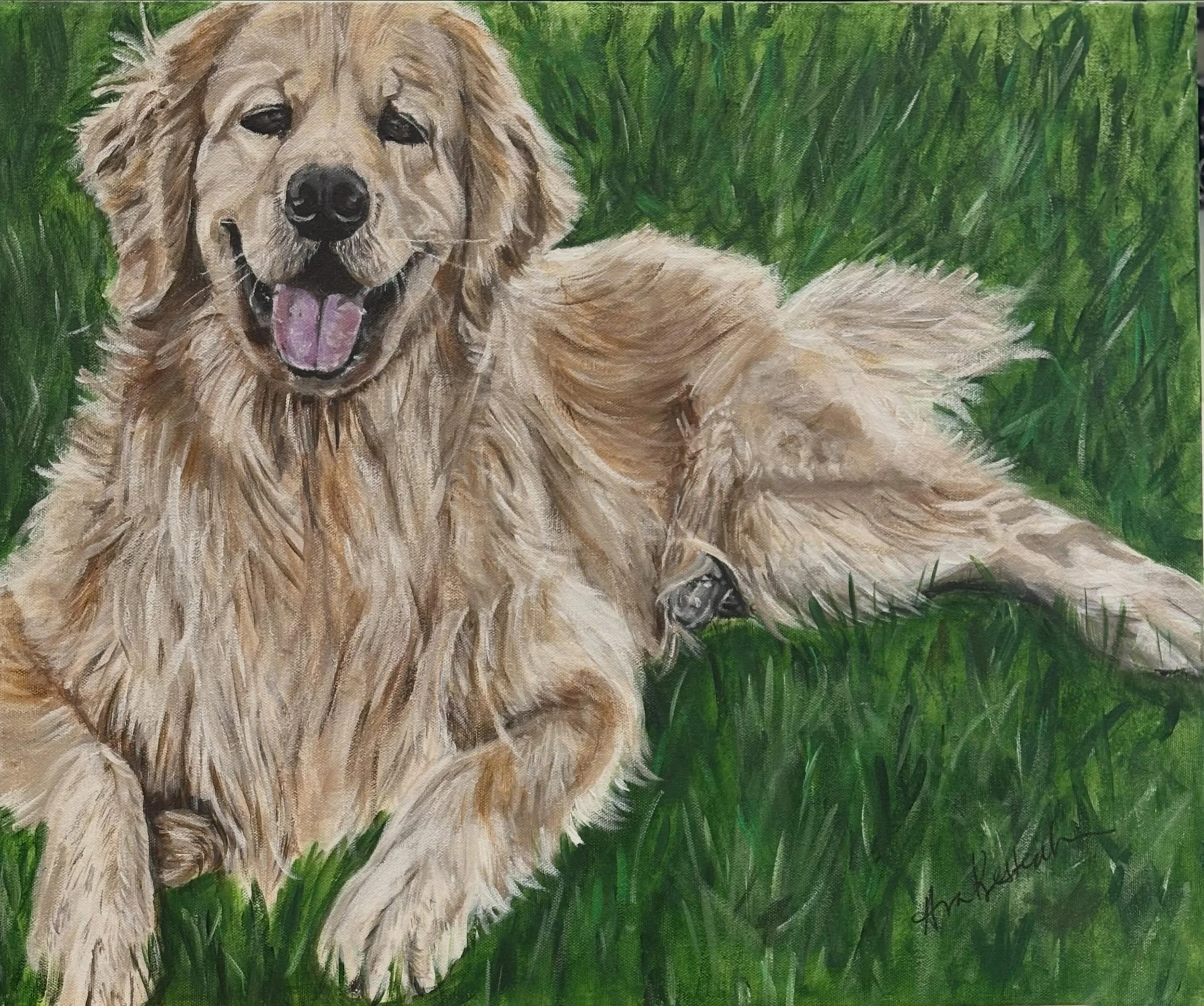 Meet handsome Tucker, a three year-old golden retriever. Tucker was the first son born into a very close, loving family. He is now officially a big brother.  Tucker is a gentle giant who loves running and playing catch in the yard after a hard day at