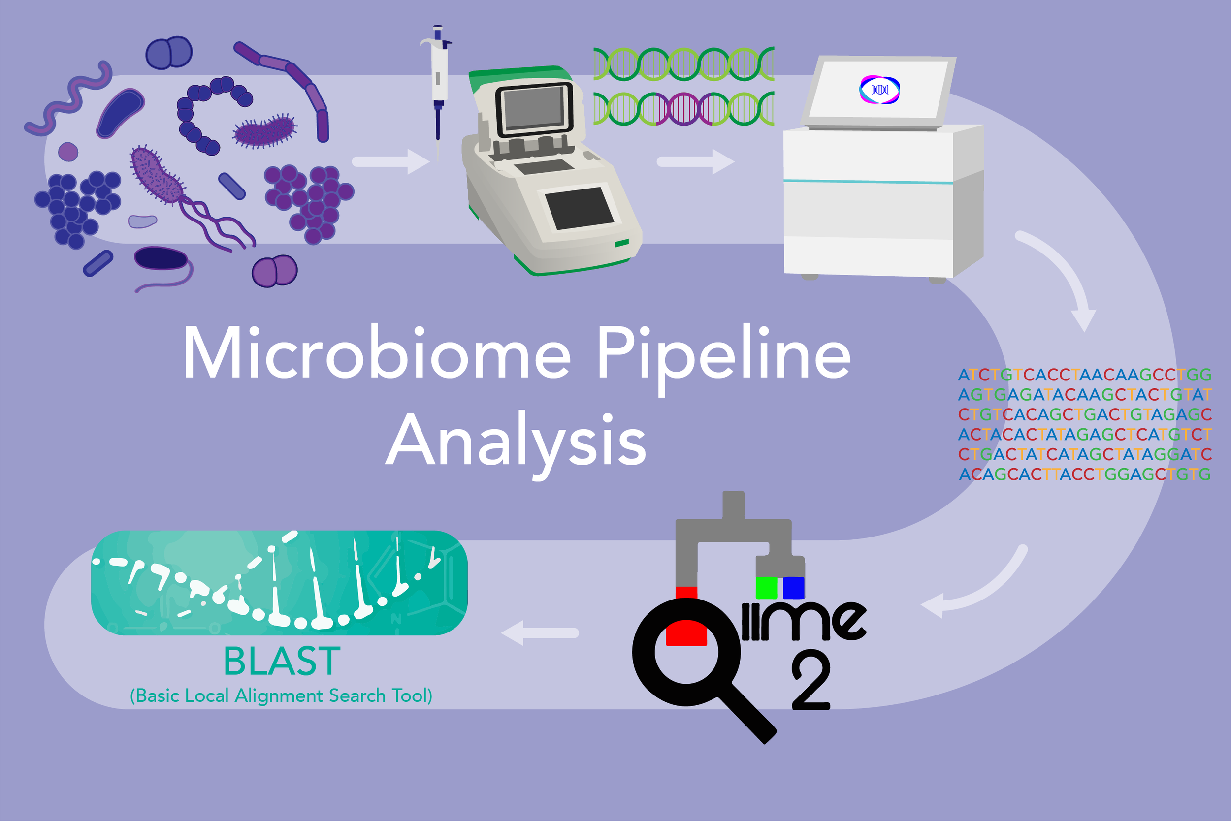 Microbiome Analysis: Methods And Protocols – GEYE