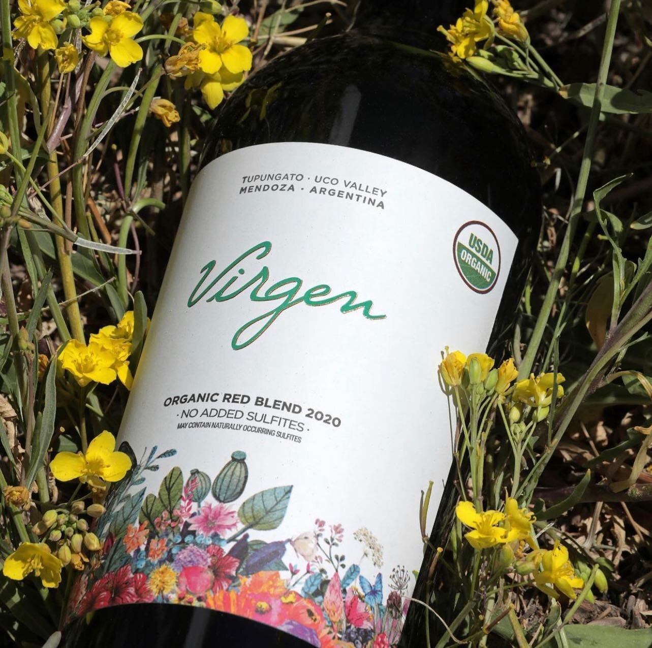 Our pick of the day 🍷 🍇 
Virgen Organic Red Blend is not only made from organic fruit but has no sulfites added, thereby qualifying for fully organic USDA certification. A blend of 35% Malbec, 35% Cabernet Sauvignon and 30% Cabernet Franc, it is vi