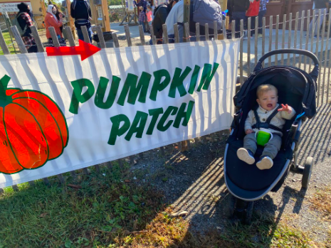 Screen Shot 2021-05-02 at 9.19.22 PM.png