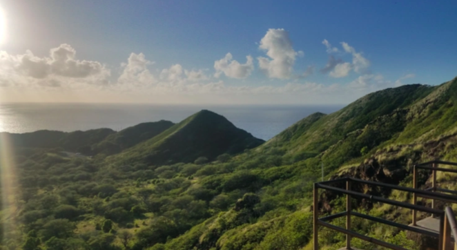 Screen Shot 2021-05-03 at 9.14.41 PM.png