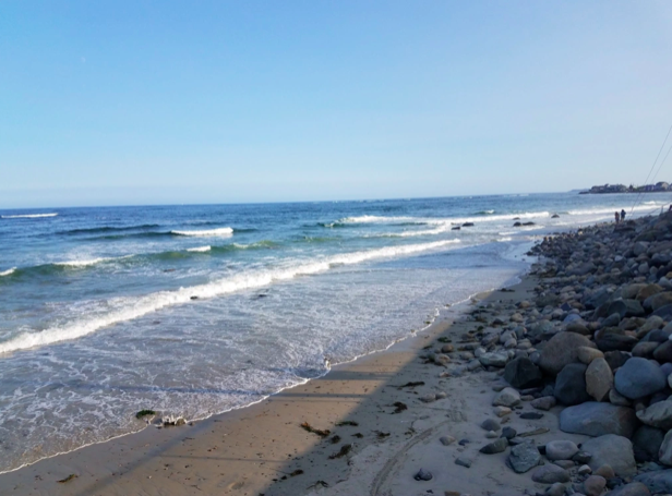 Screen Shot 2021-05-04 at 2.02.56 PM.png