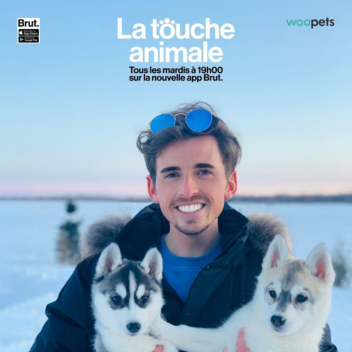 ✔️ Nous sommes tr&egrave;s heureux et fier de pr&eacute;senter un nouveau show et d'un nouveau format : &quot;La Touche Animale&quot; 🐶🐱🐰

La touche animale, le RDV hebdomadaire des amoureux des animaux. Chaque semaine le mardi &agrave; 19H sur l'