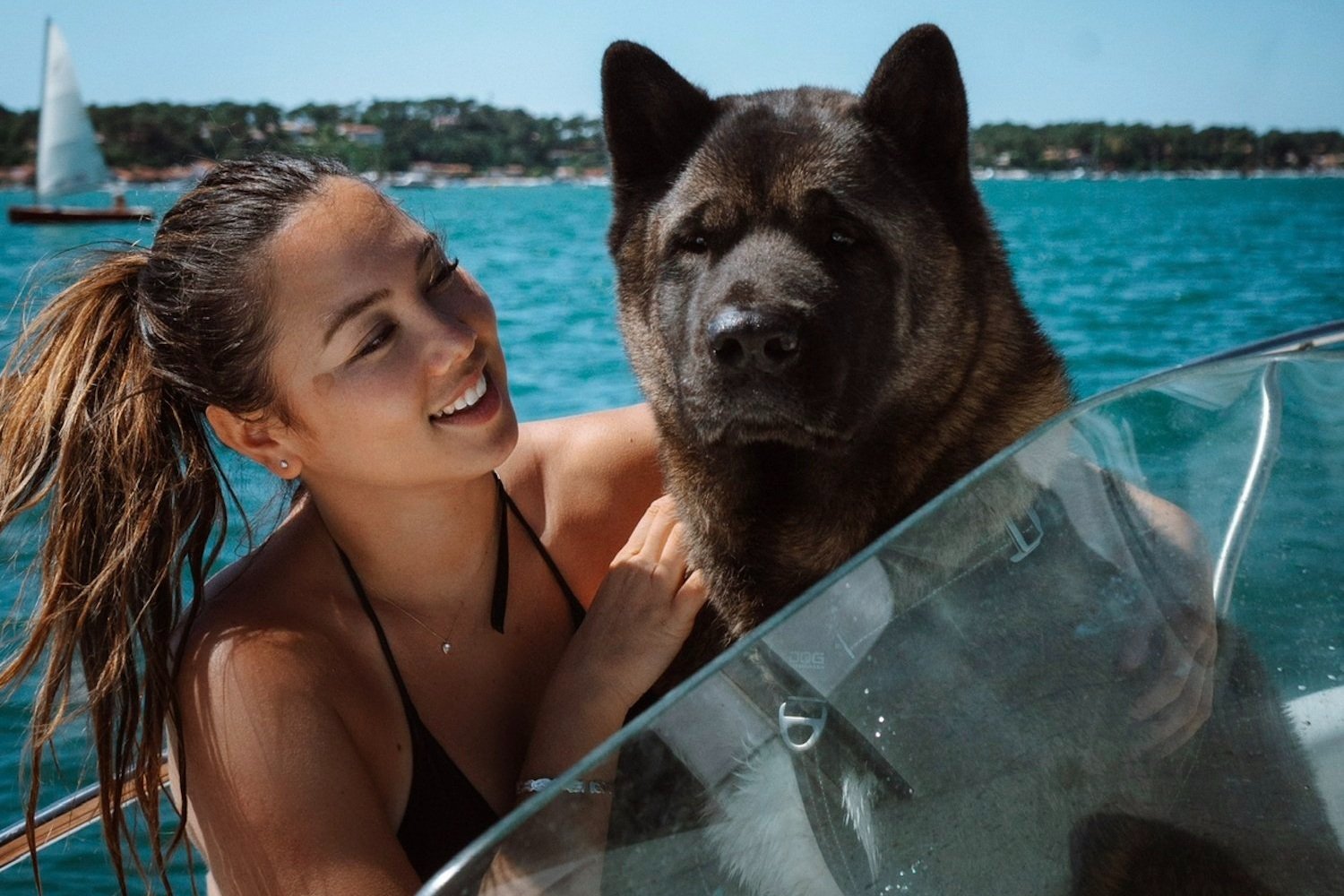 Bien-être animal : l'importance d'être un petfluencer responsable