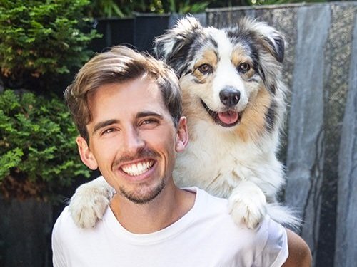 Expert chien : pourquoi se fier à l'expertise de Yoann Latouche et de l'agence YLG ?